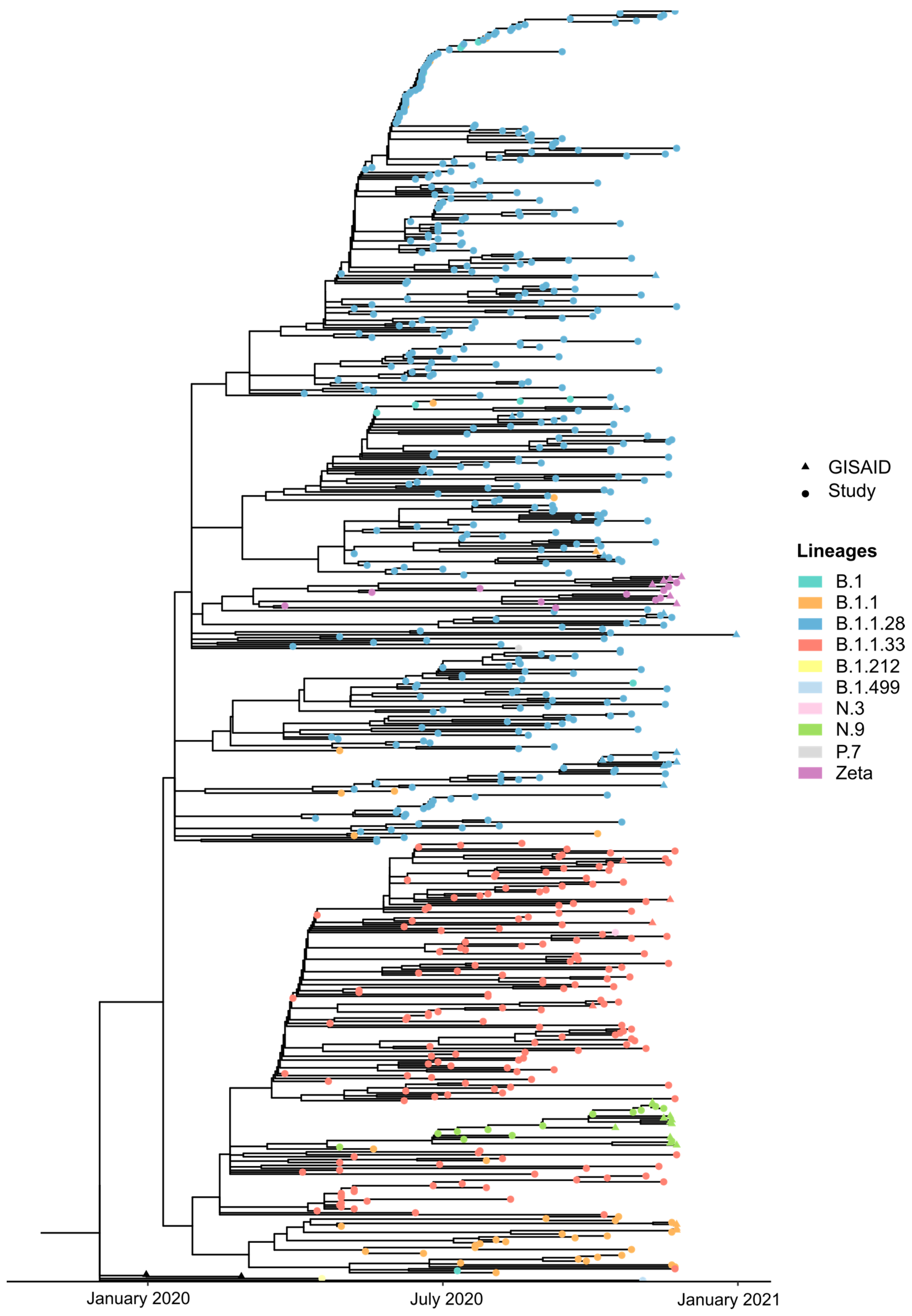 Pathogens 13 01069 g003