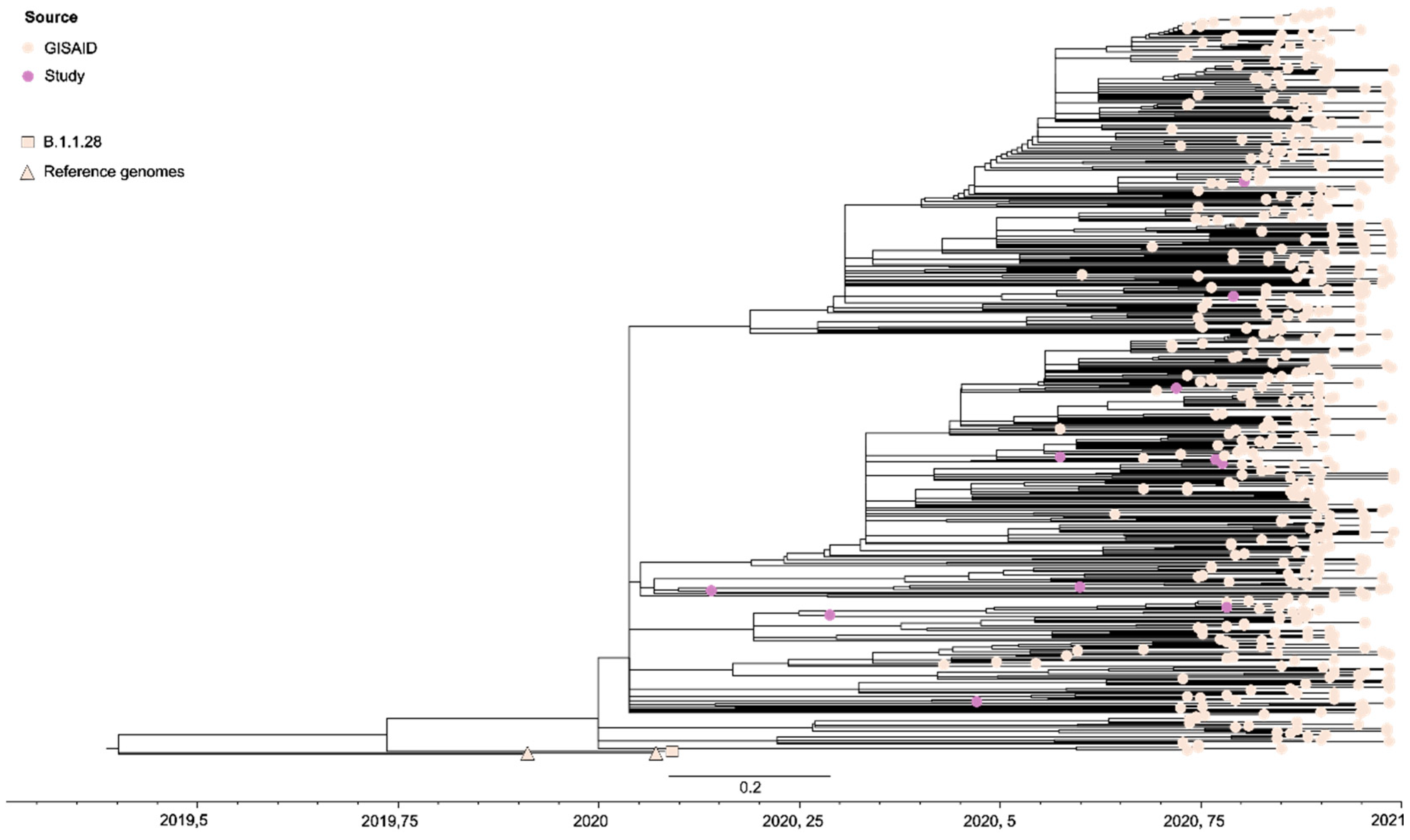 Pathogens 13 01069 g004