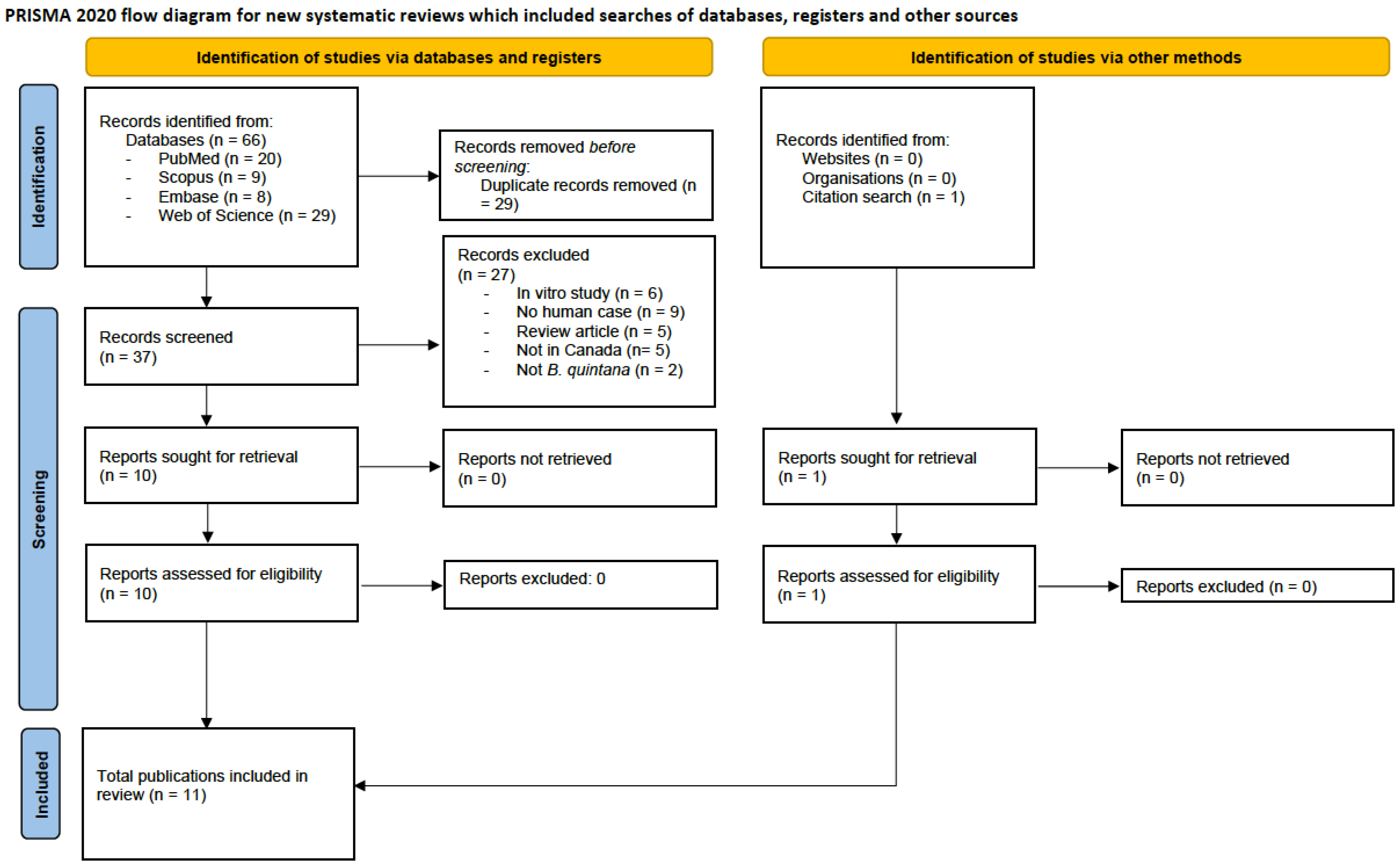 Pathogens 13 01071 g001 Pathogens 13 01071 g001