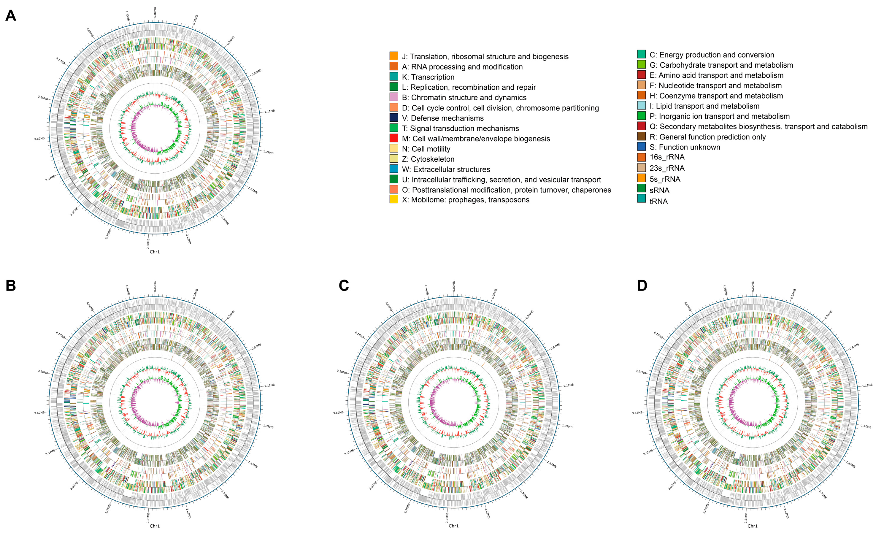 Pathogens 13 01083 g002