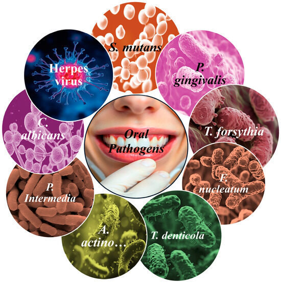 Oral Pathogens’ Substantial Burden on Cancer, Cardiovascular  Diseases, Alzheimer’s, Diabetes, and Other Systemic Diseases: A  Public Health Crisis—A Comprehensive Review
