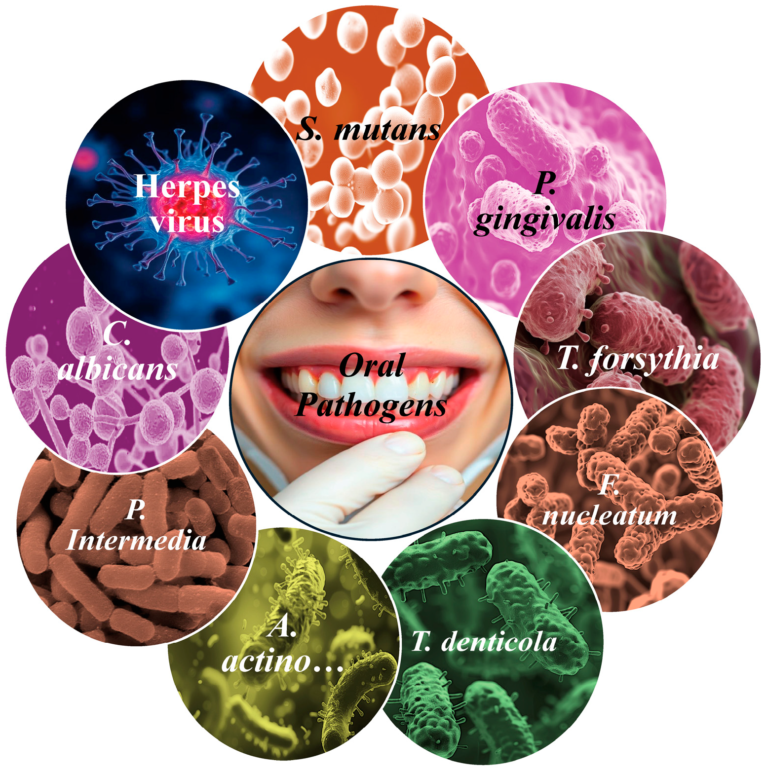 Pathogens 13 01084 g001