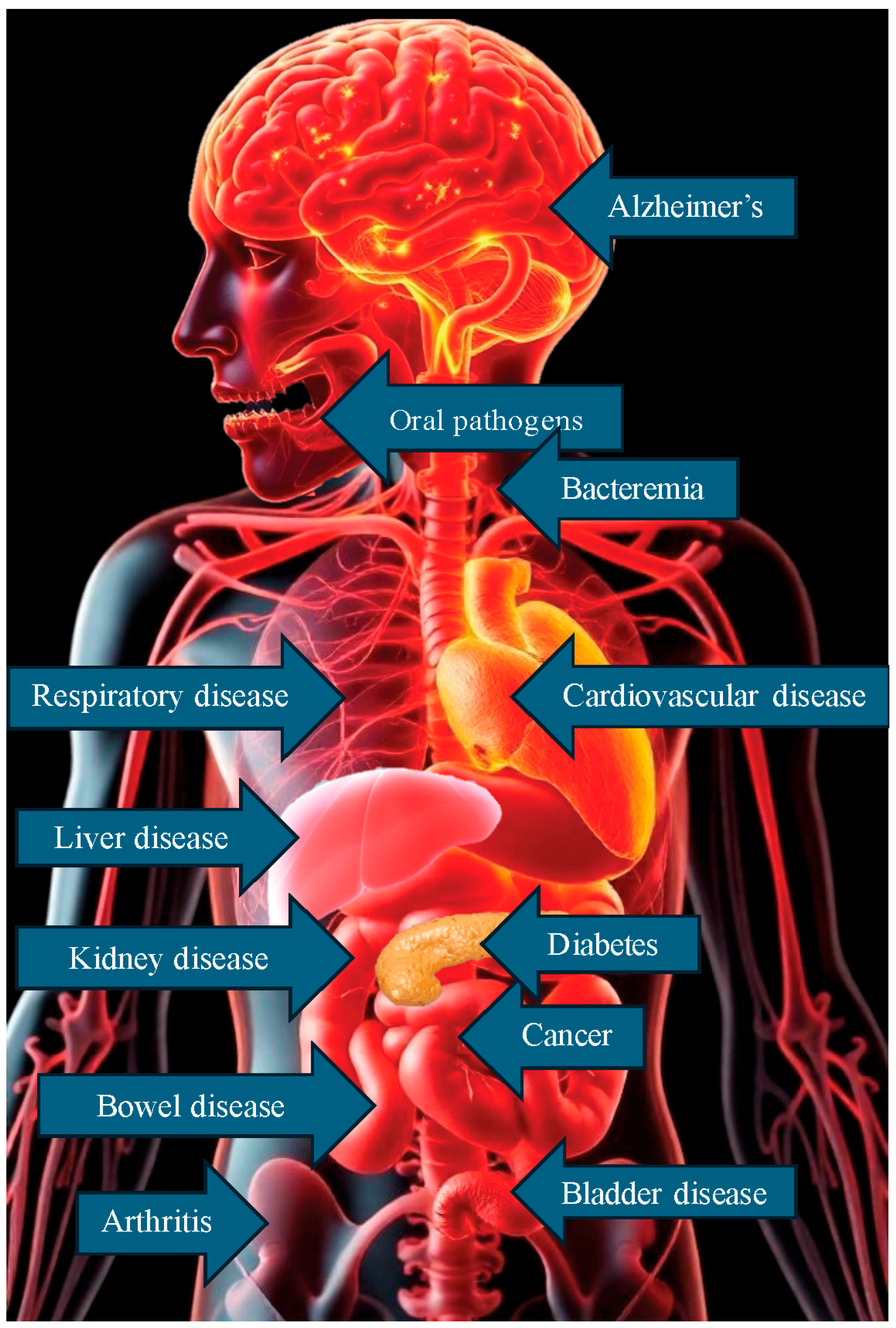 Pathogens 13 01084 g002