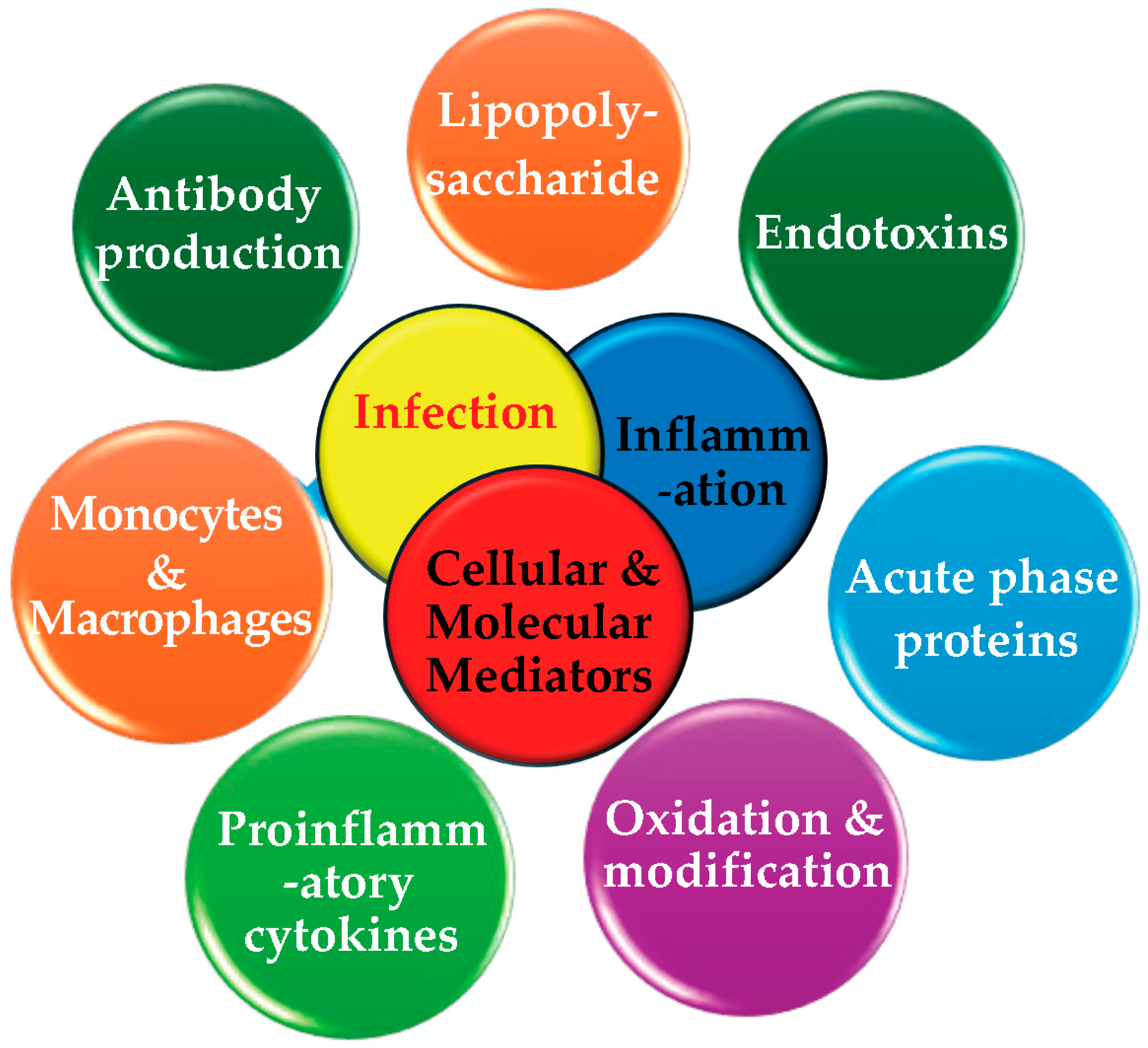 Pathogens 13 01084 g008