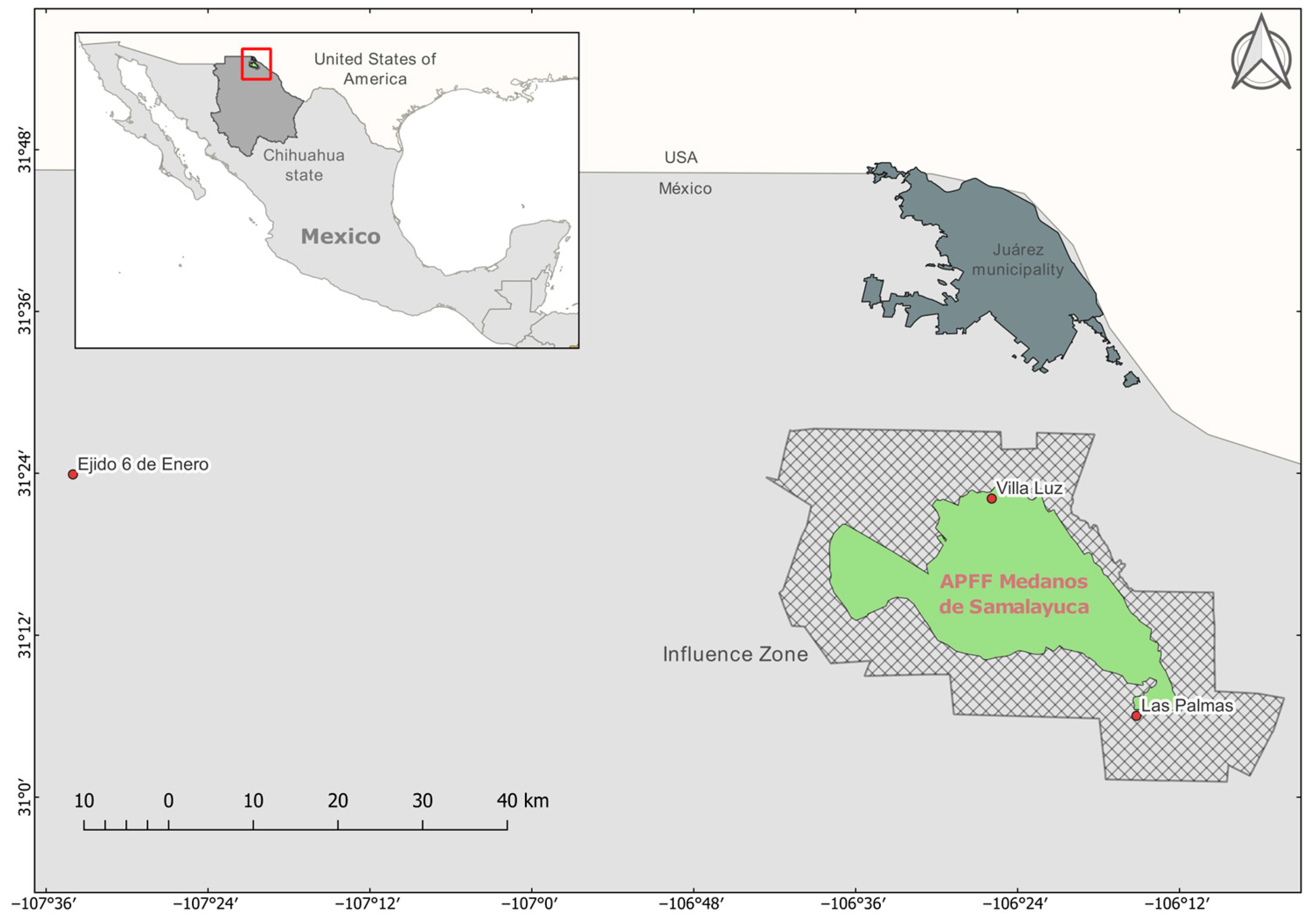 Pathogens 13 01085 g001 Pathogens 13 01085 g001