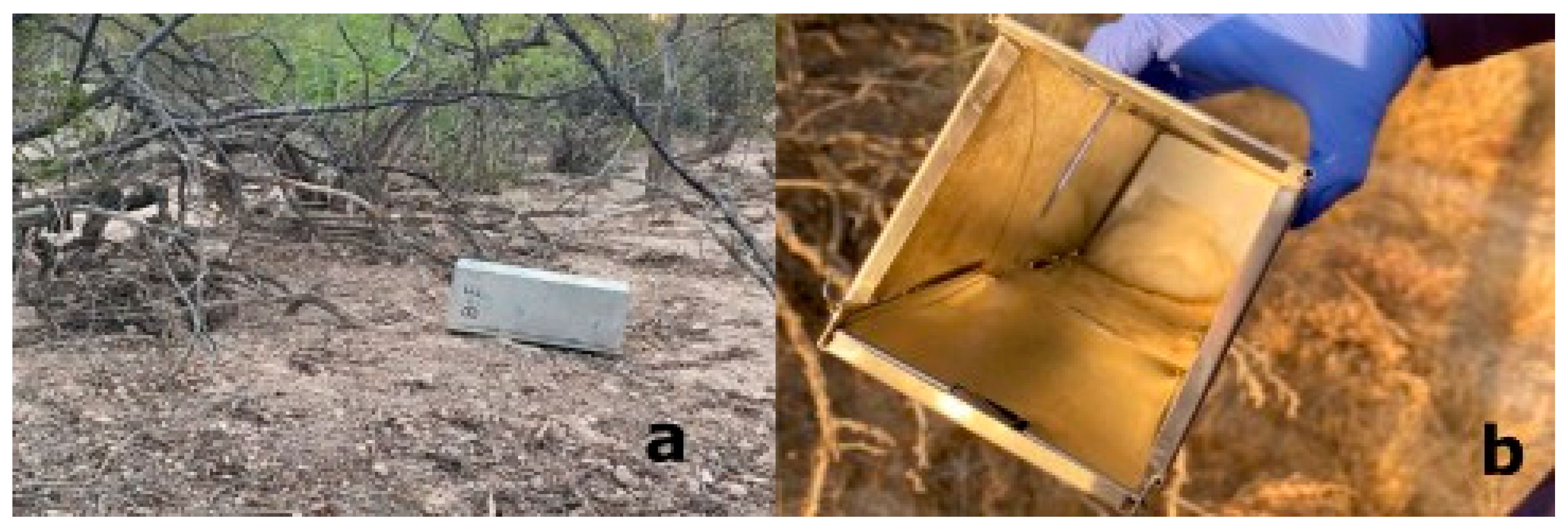 Pathogens 13 01085 g002 Pathogens 13 01085 g002