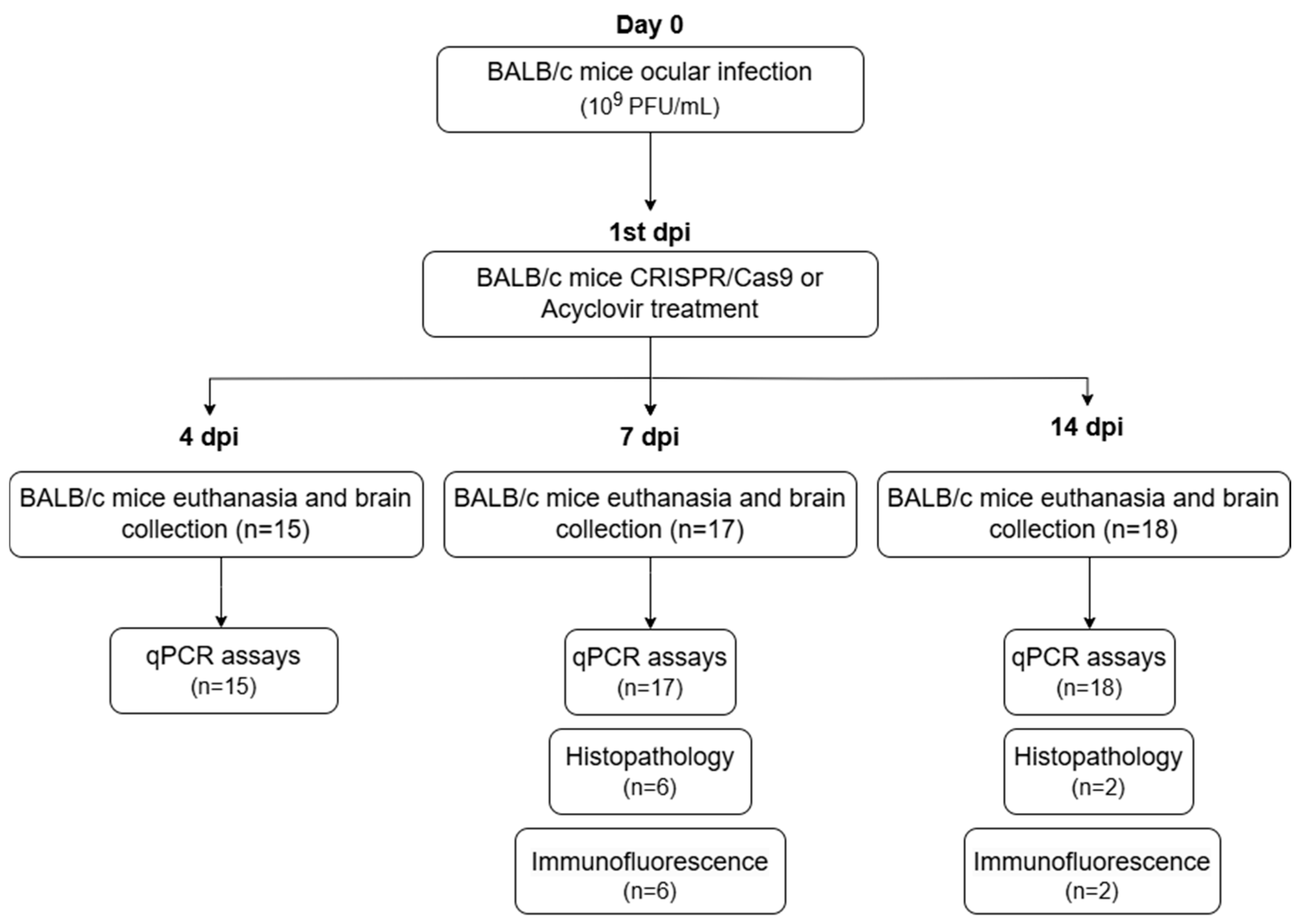 Pathogens 13 01087 g001 Pathogens 13 01087 g001