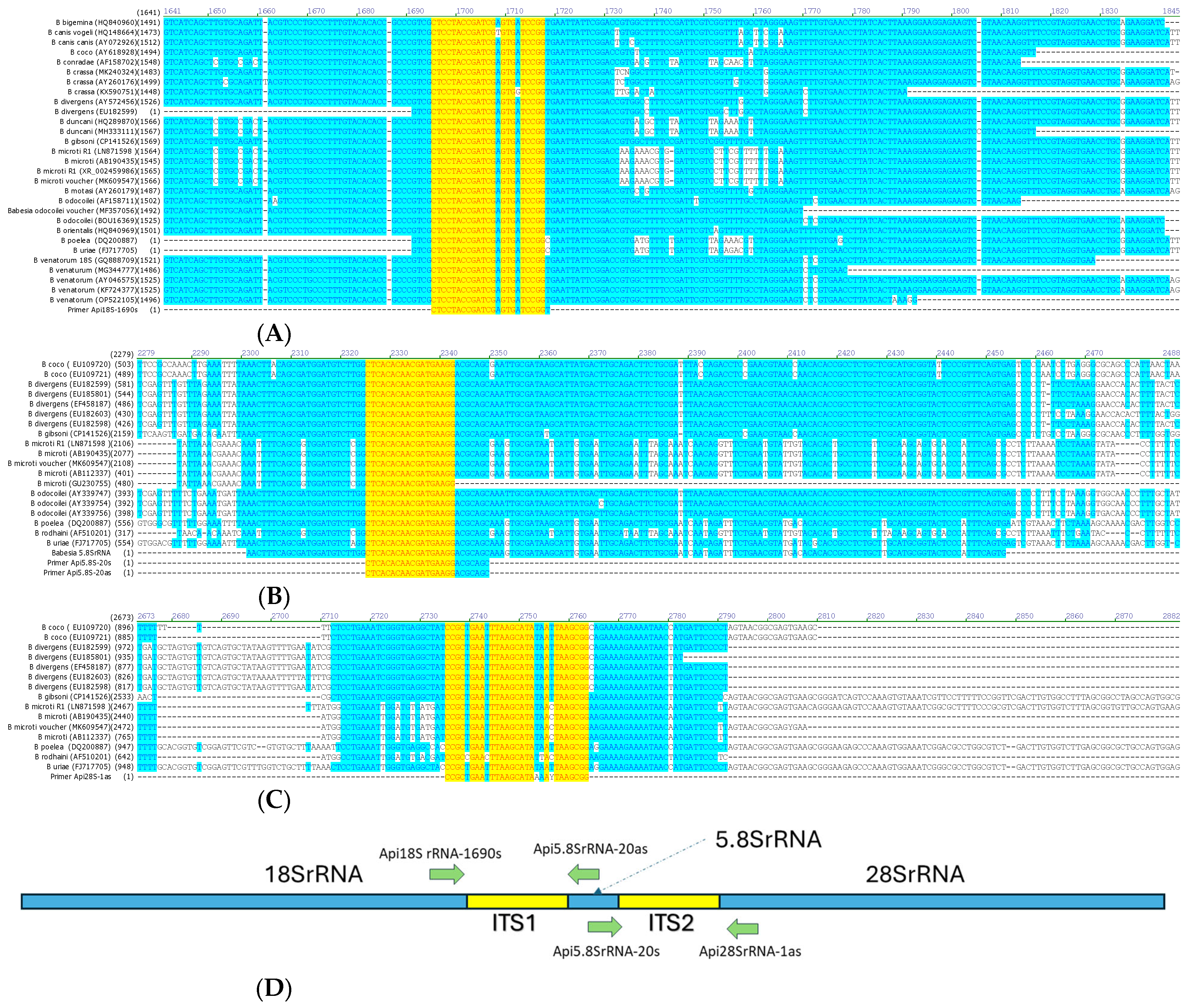 Pathogens 13 01094 g001 Pathogens 13 01094 g001
