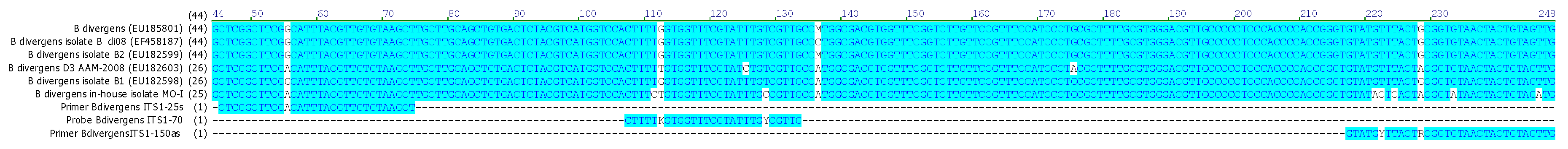 Pathogens 13 01094 g003 Pathogens 13 01094 g003