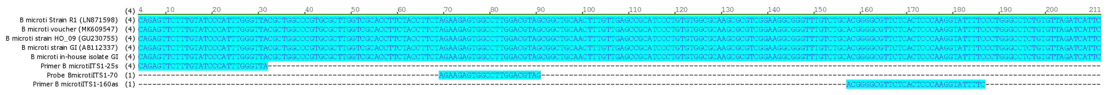 Pathogens 13 01094 g005 Pathogens 13 01094 g005