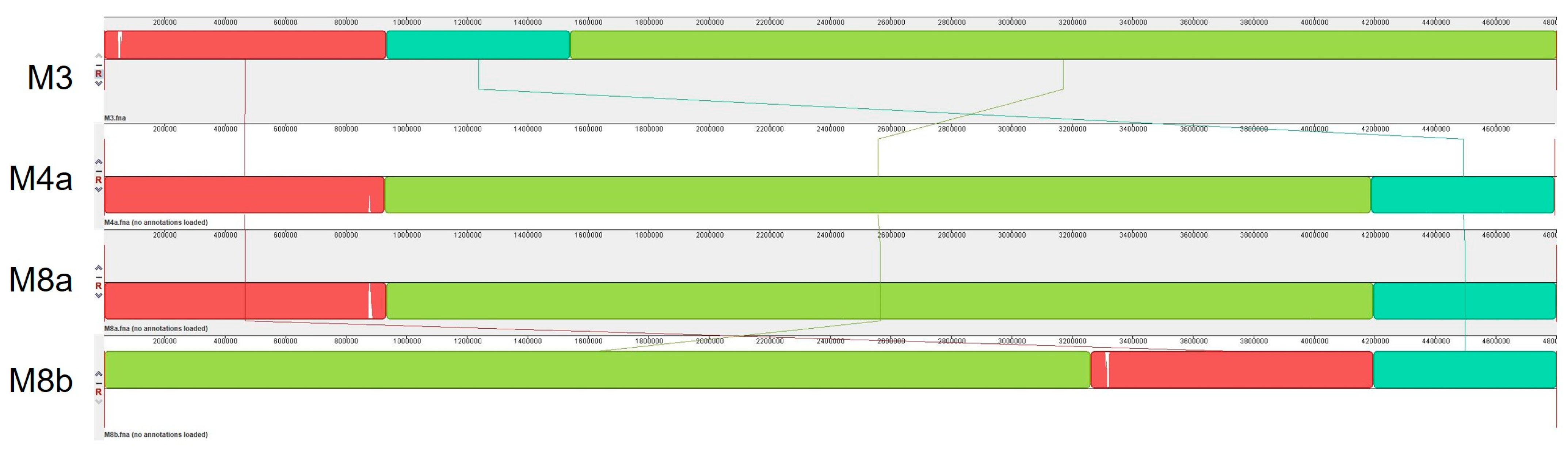 Pathogens 13 01096 g005