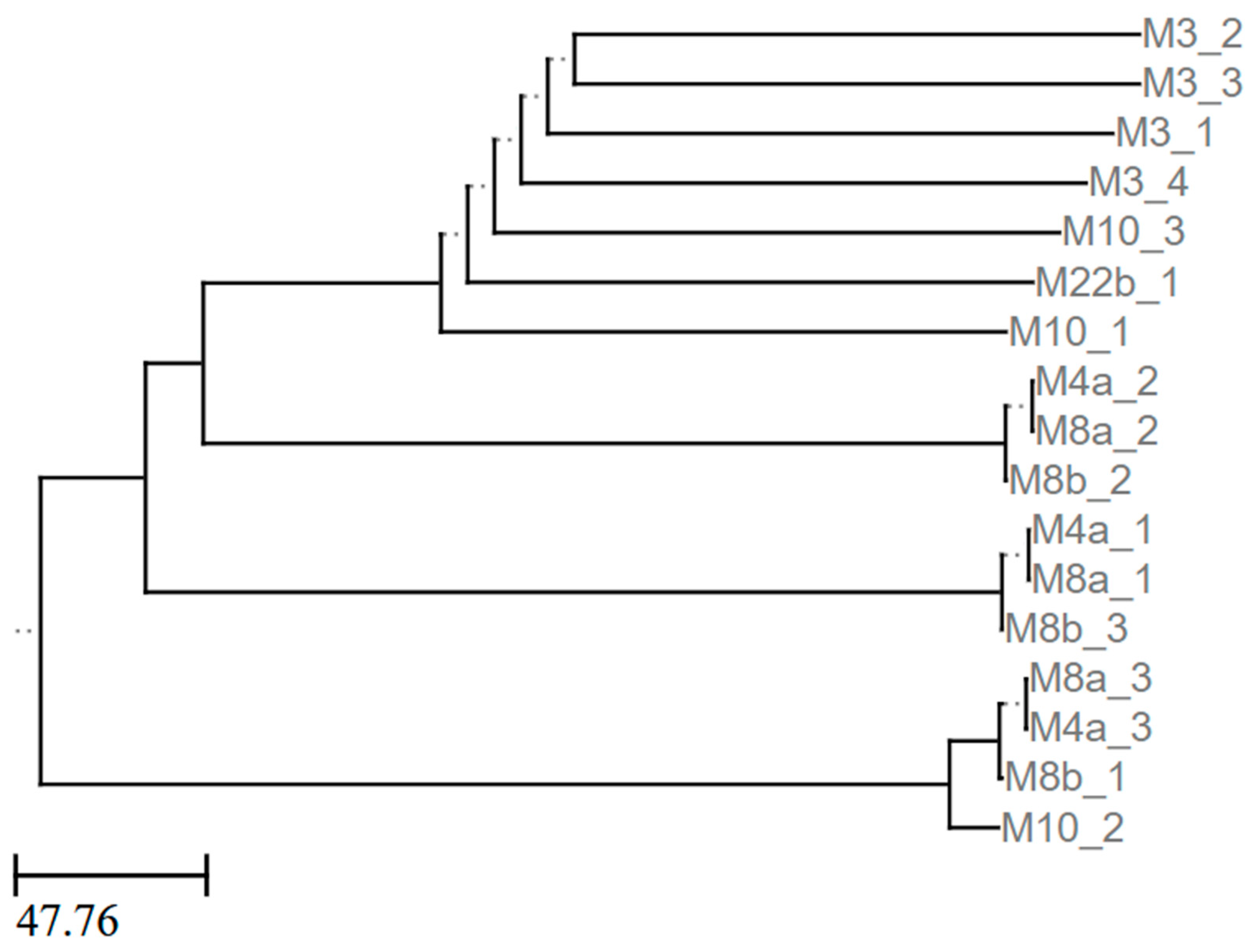 Pathogens 13 01096 g006