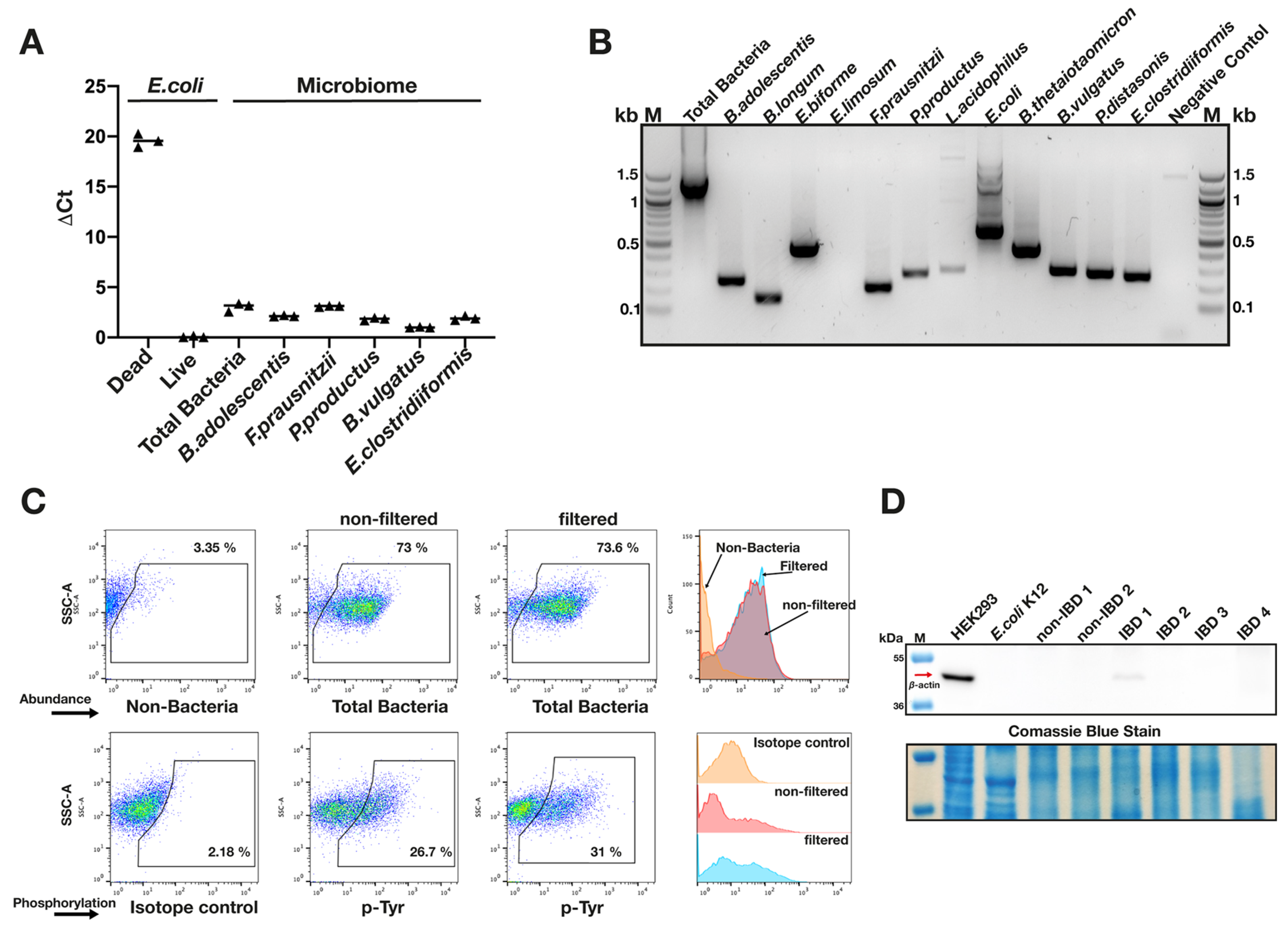 Pathogens 13 01102 g002 Pathogens 13 01102 g002
