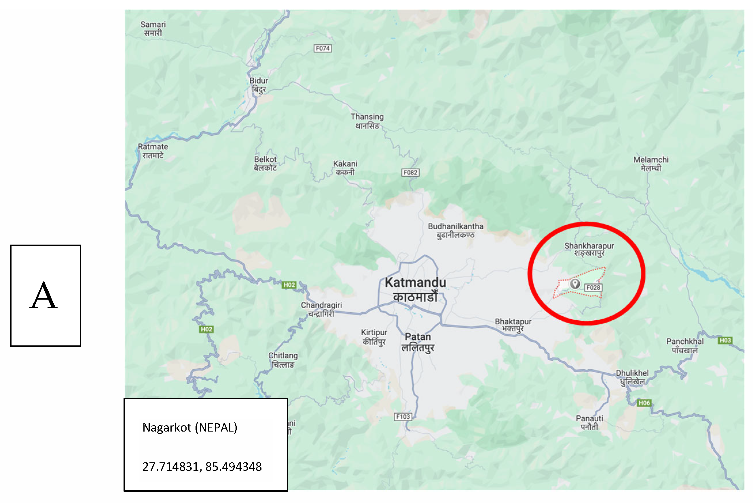 Pathogens 13 01116 g001a