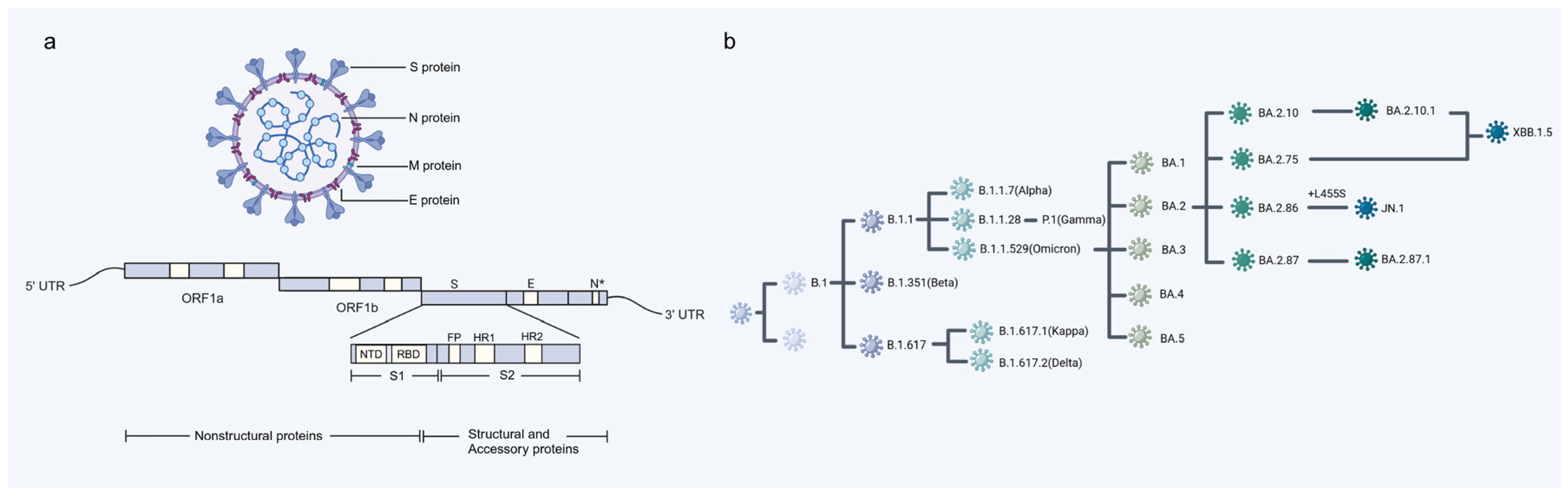 Pathogens 13 01117 g001
