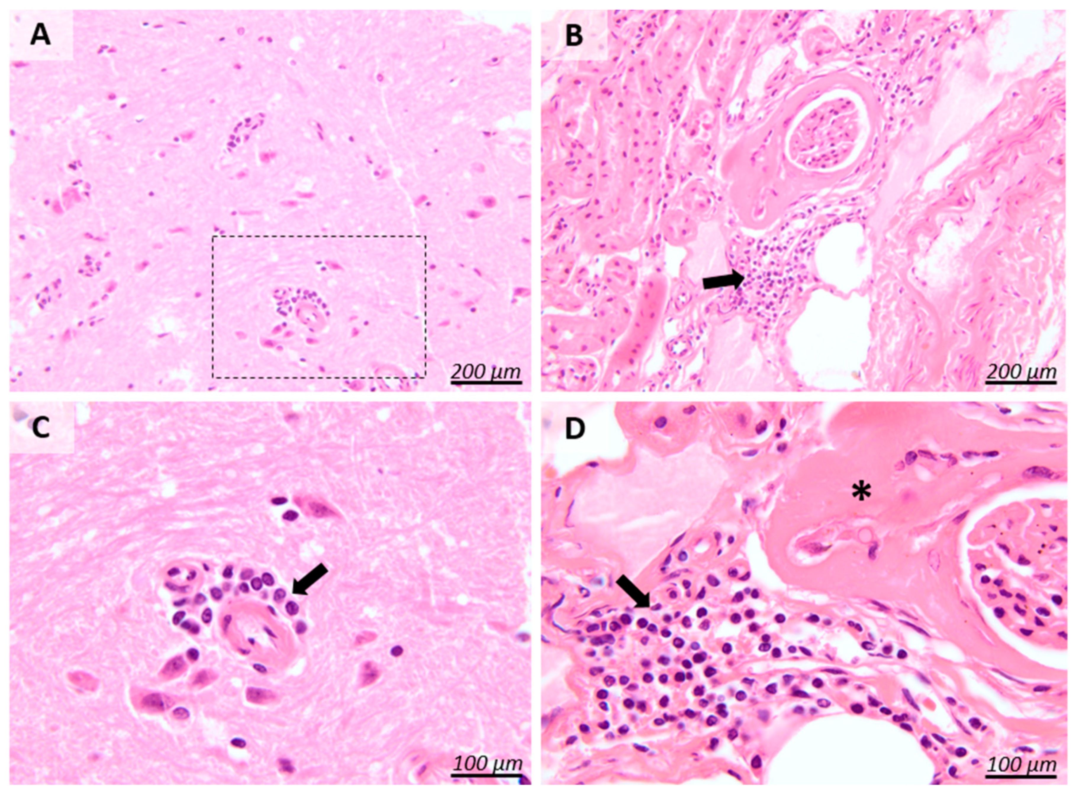 Pathogens 13 01122 g003