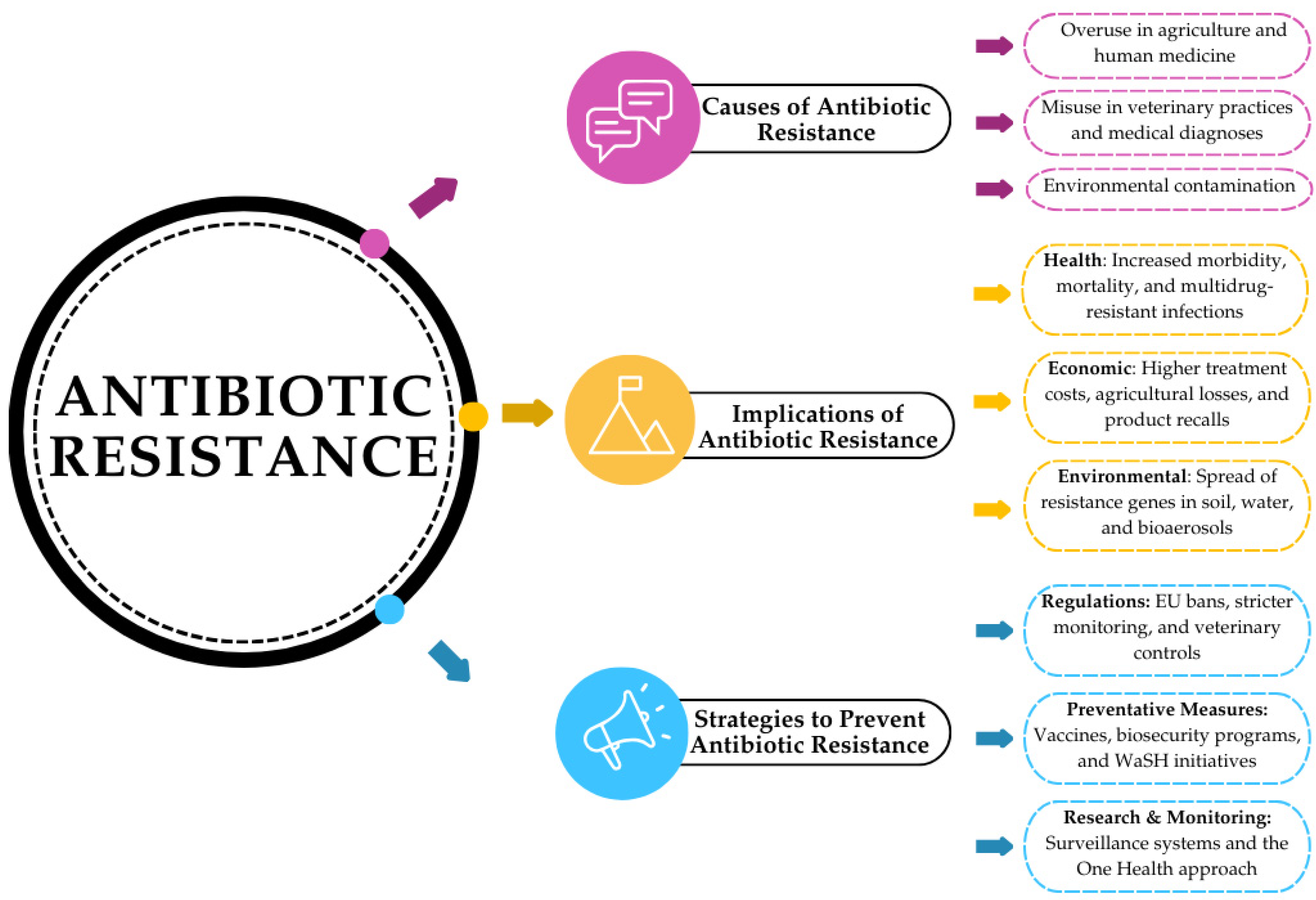 Pathogens 13 01123 g001 Pathogens 13 01123 g001