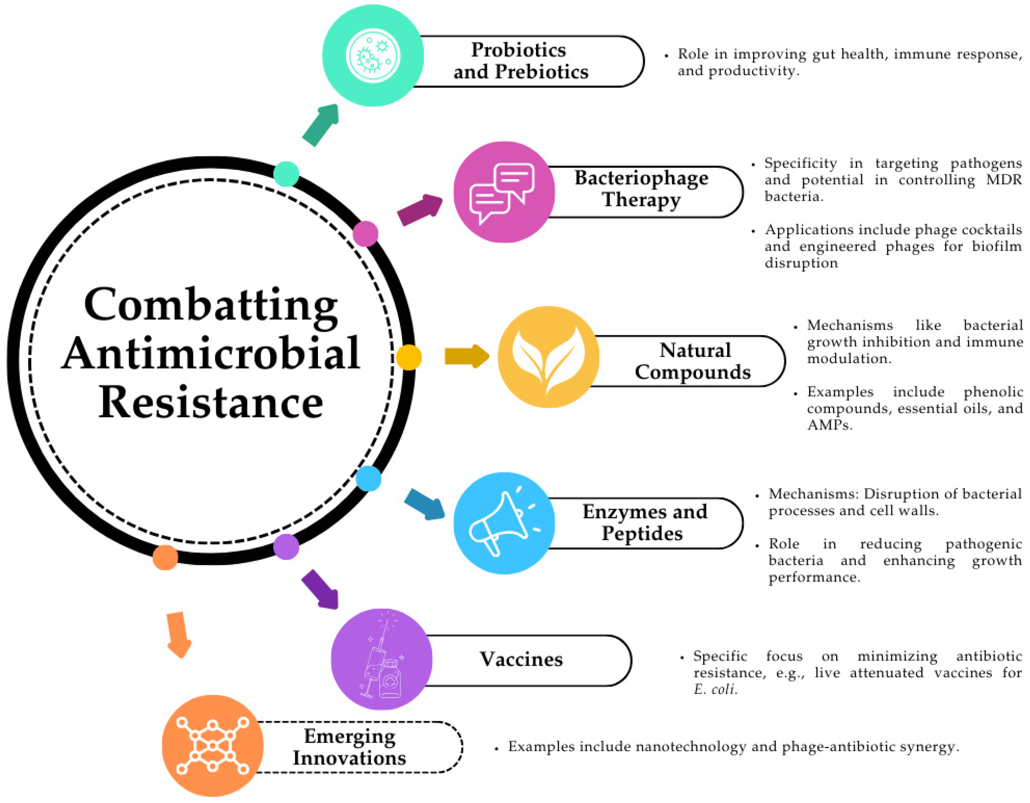 Pathogens 13 01123 g002 Pathogens 13 01123 g002