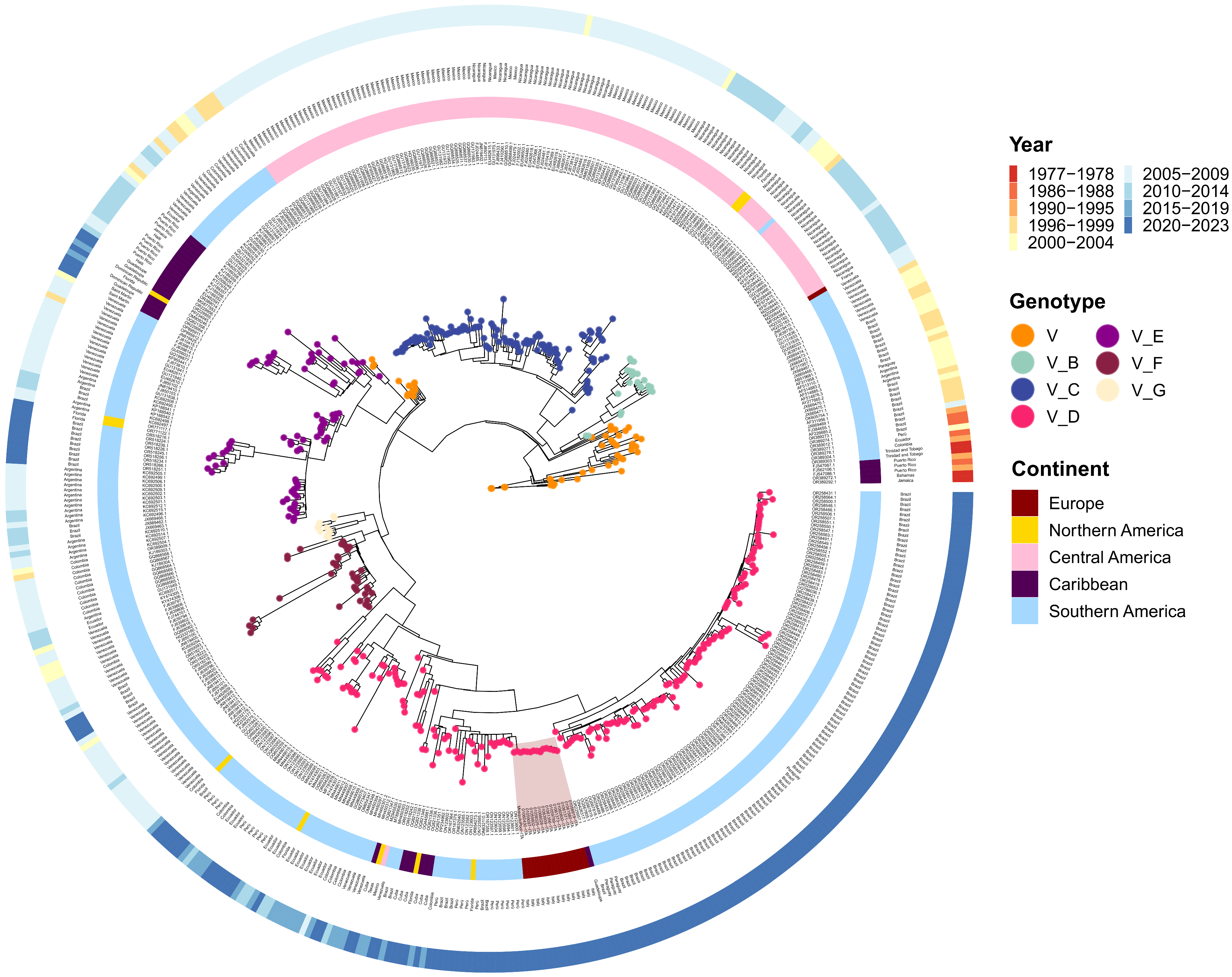 Pathogens 13 01124 g002