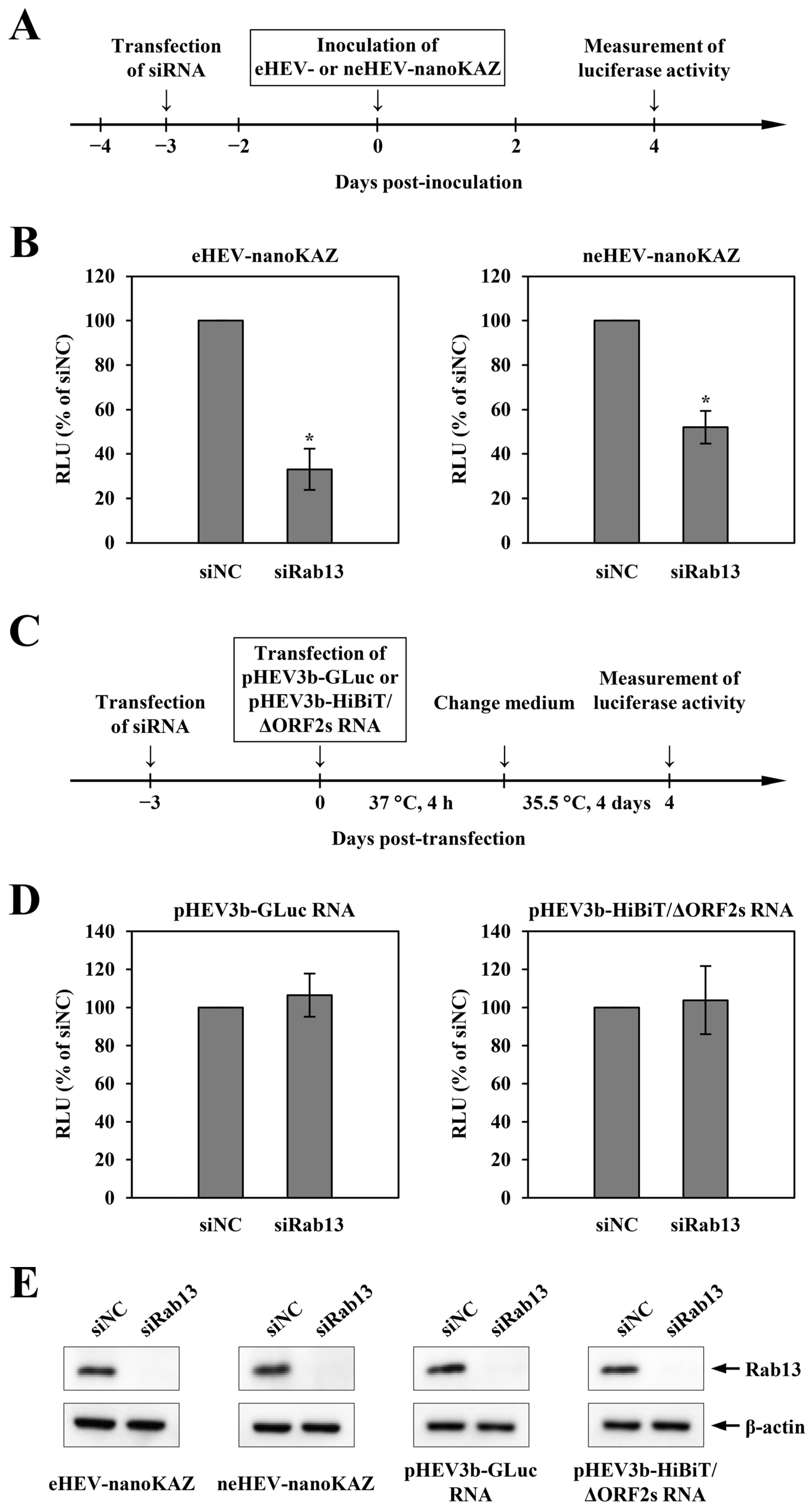 Pathogens 13 01130 g002