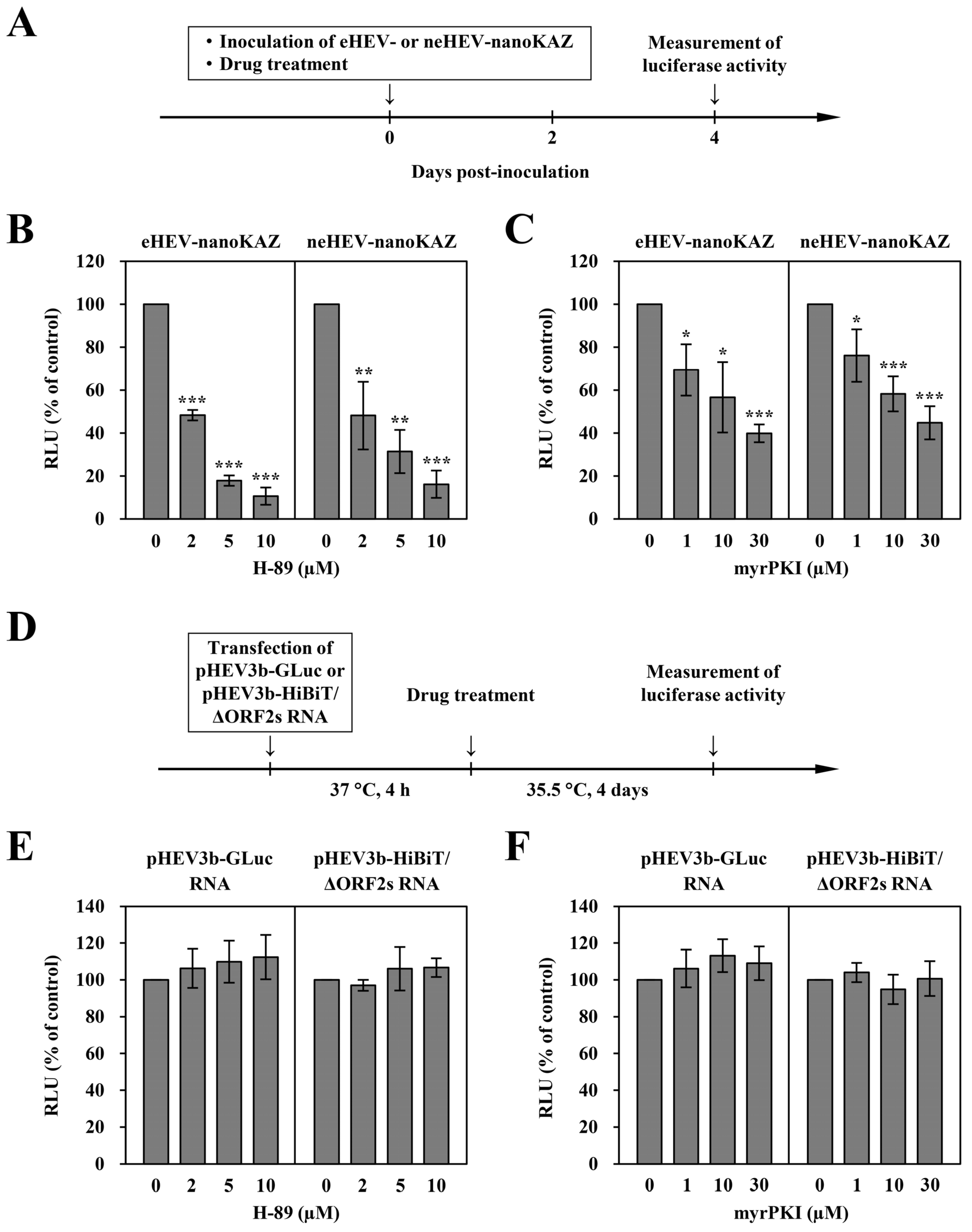 Pathogens 13 01130 g004