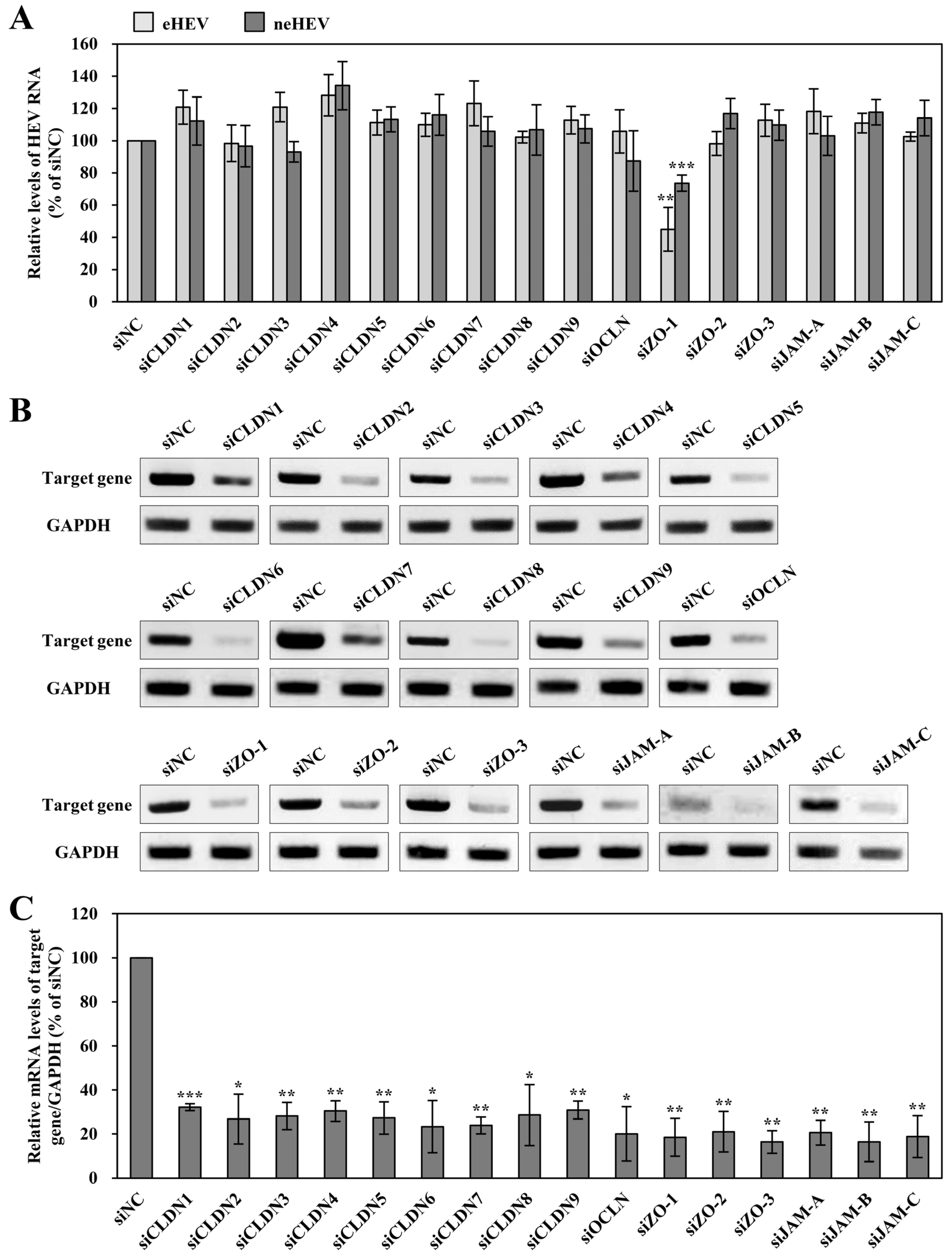 Pathogens 13 01130 g005