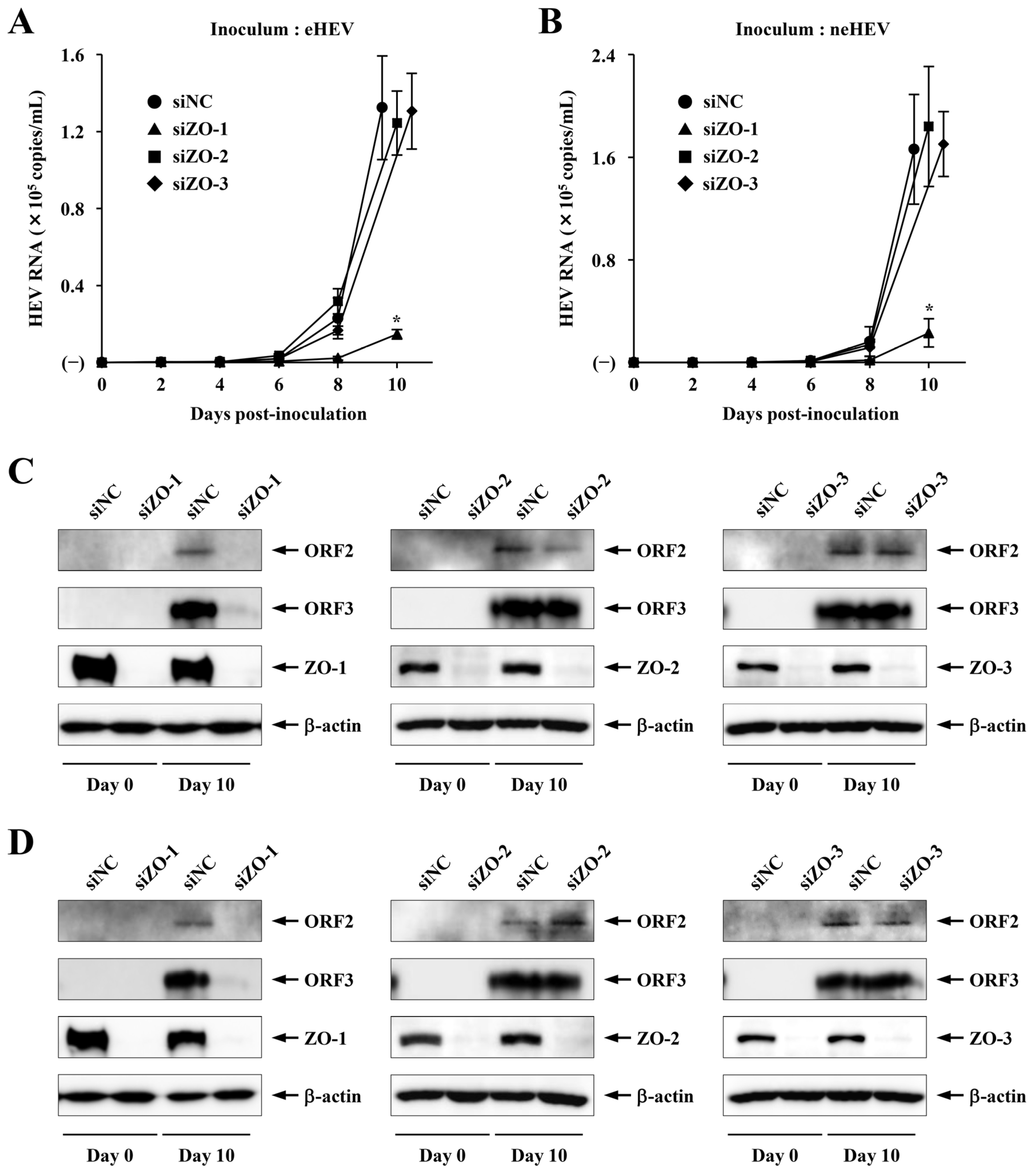 Pathogens 13 01130 g006