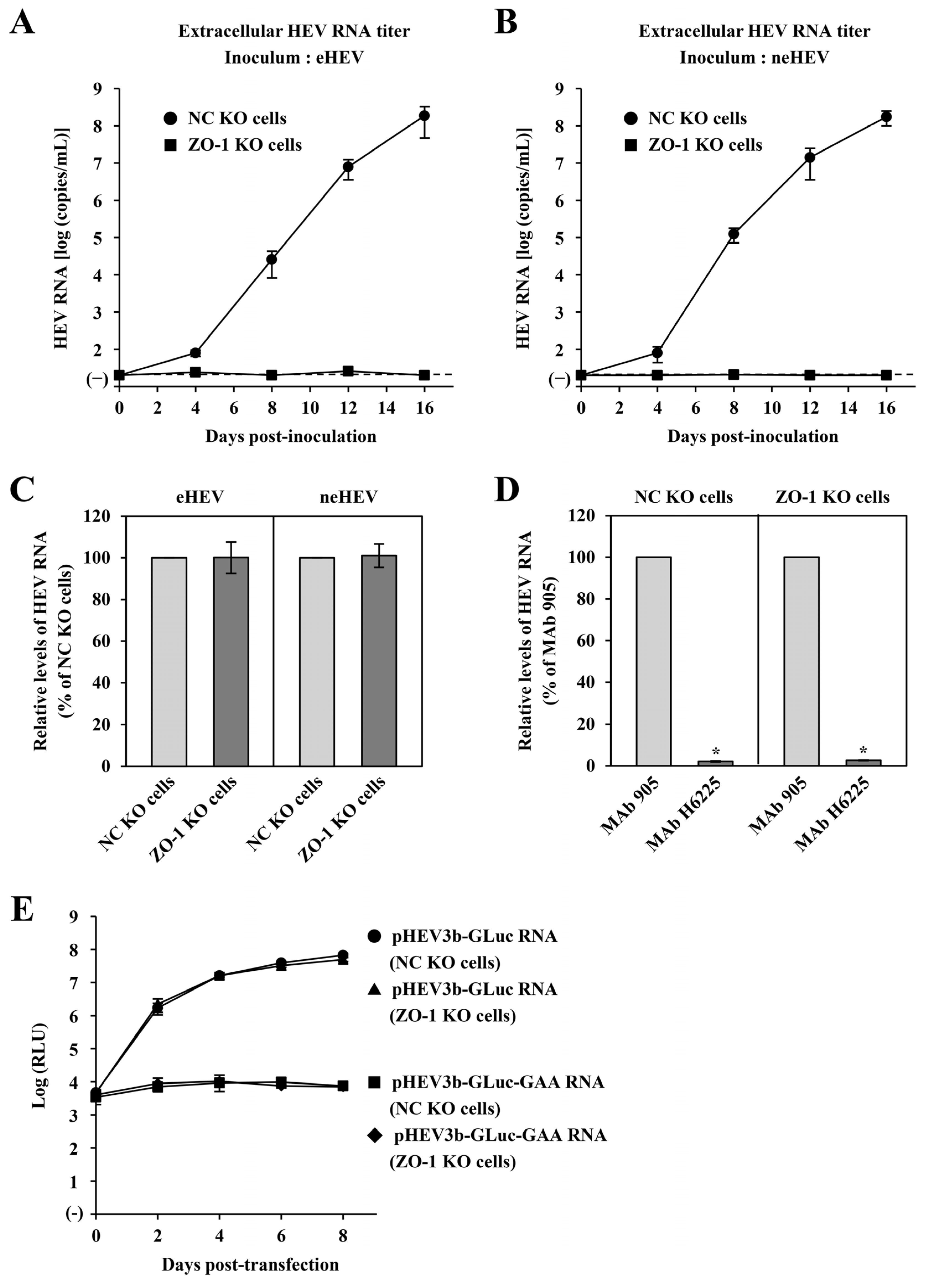 Pathogens 13 01130 g008