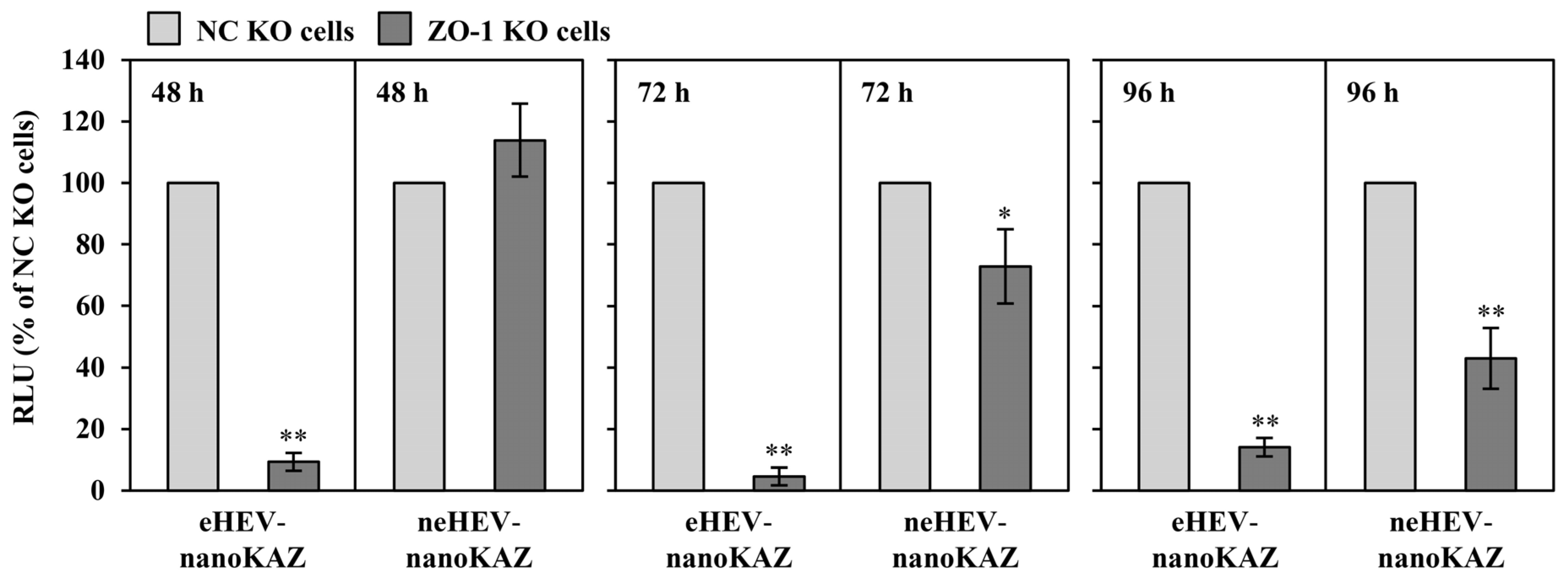 Pathogens 13 01130 g011