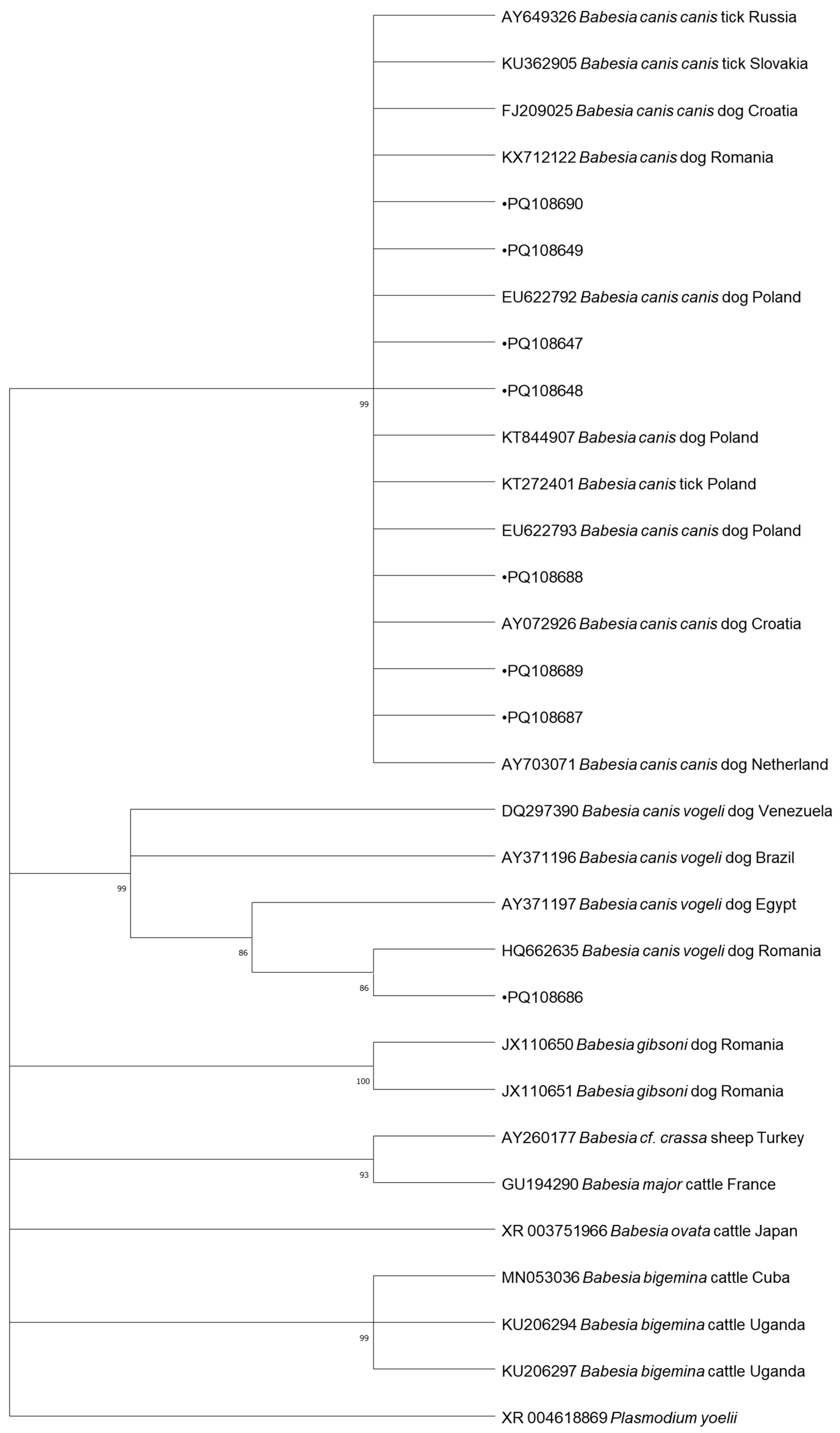Pathogens 13 01132 g001