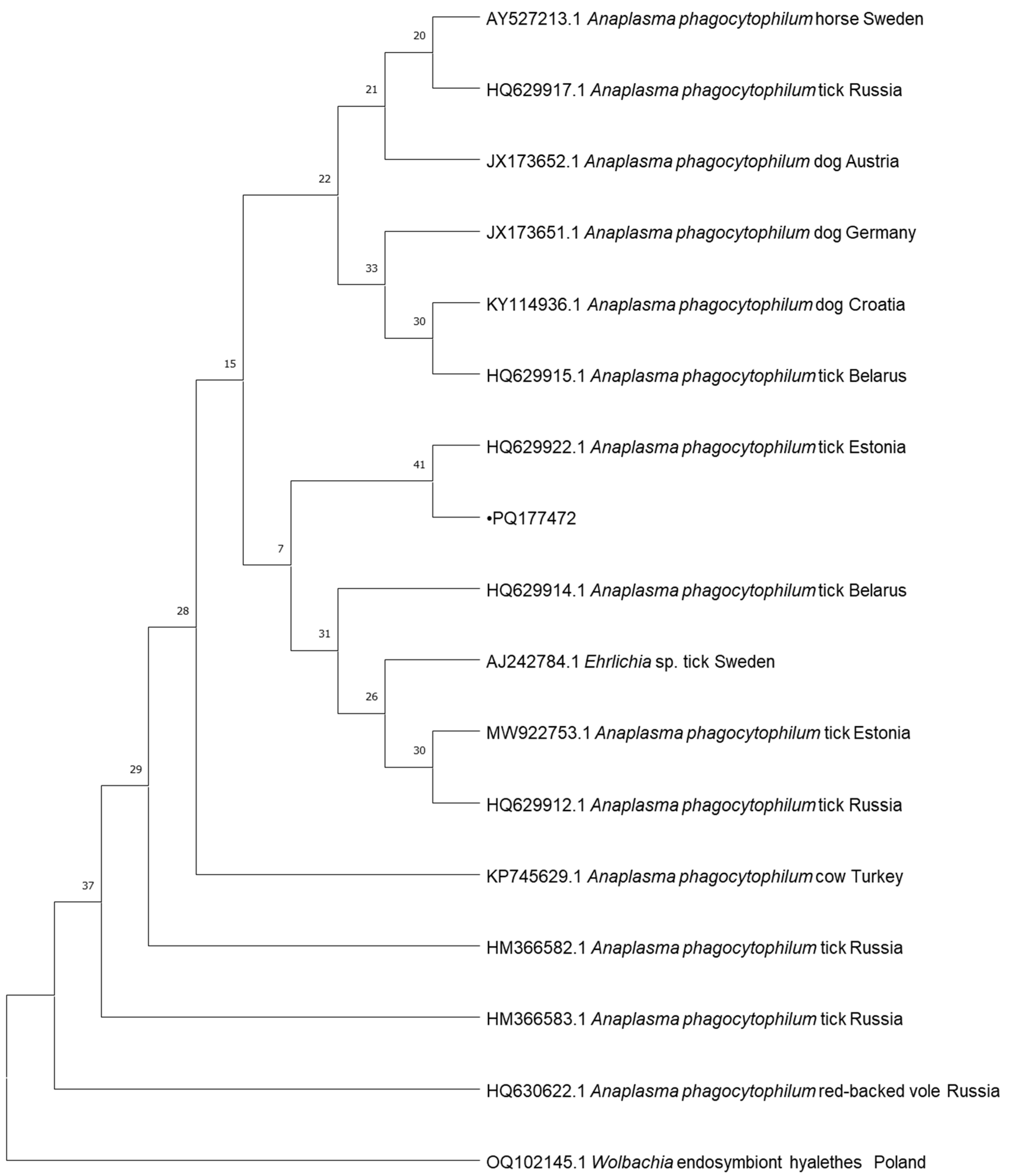 Pathogens 13 01132 g002