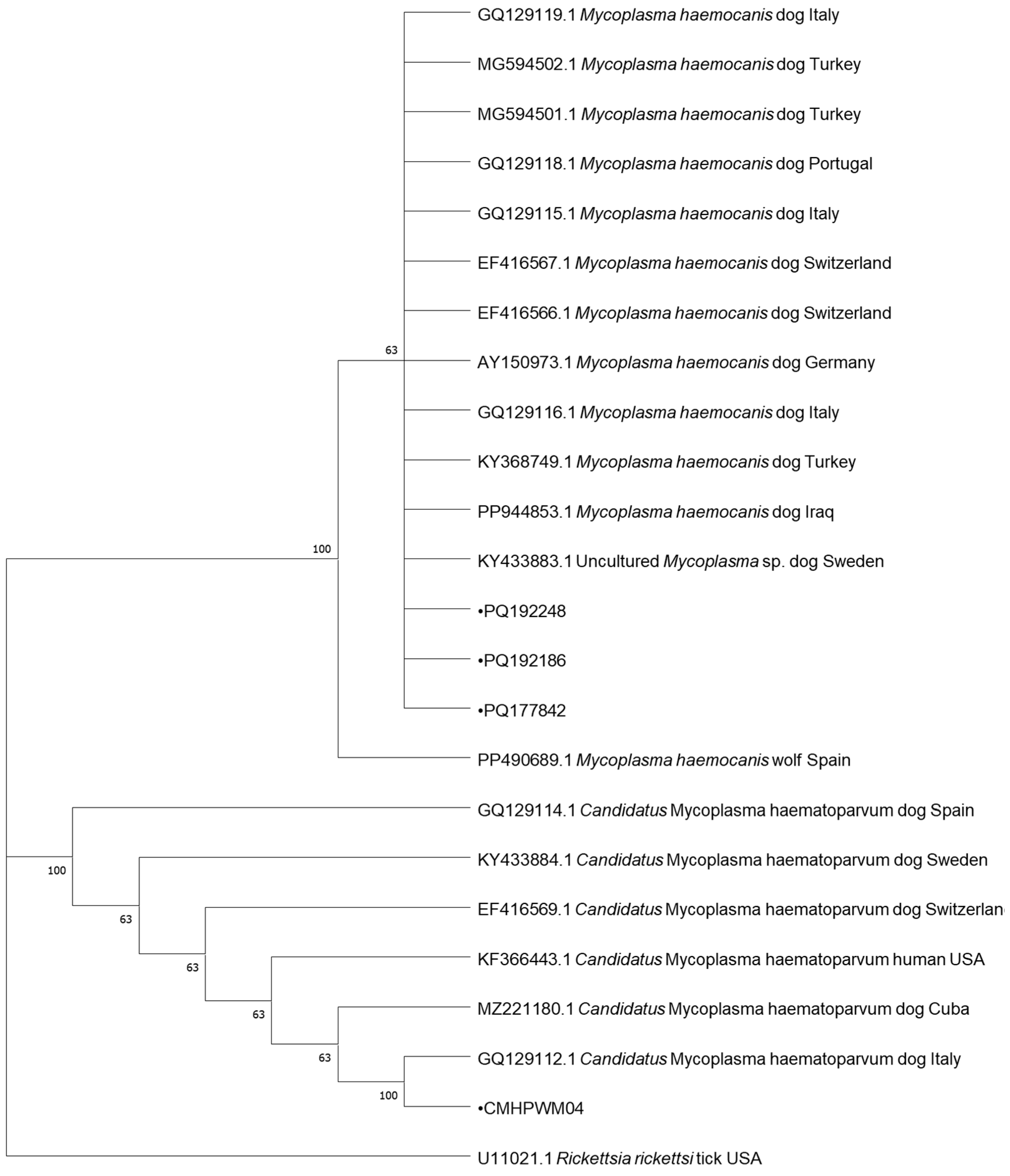 Pathogens 13 01132 g003
