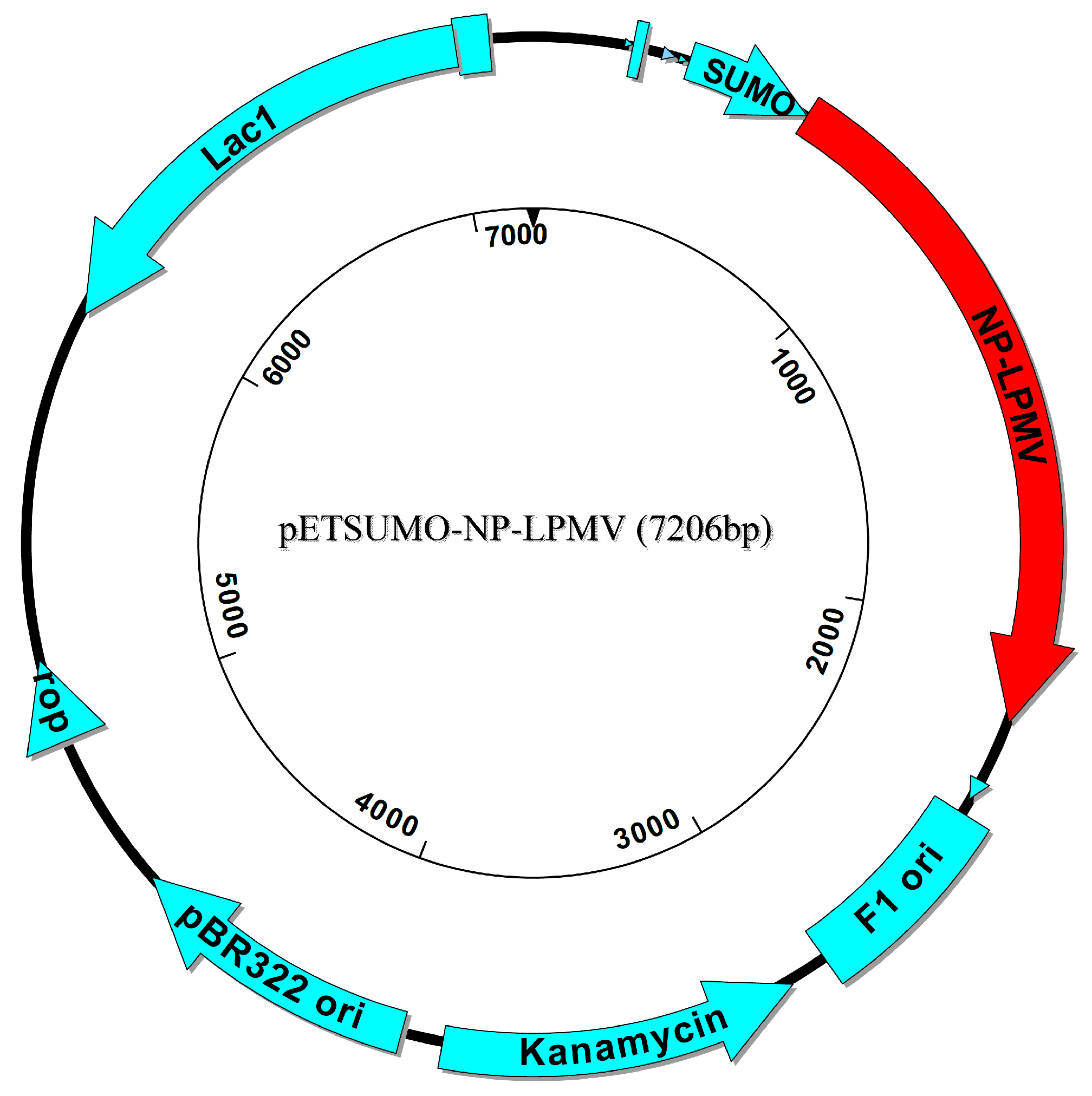 Pathogens 13 01135 g001 Pathogens 13 01135 g001