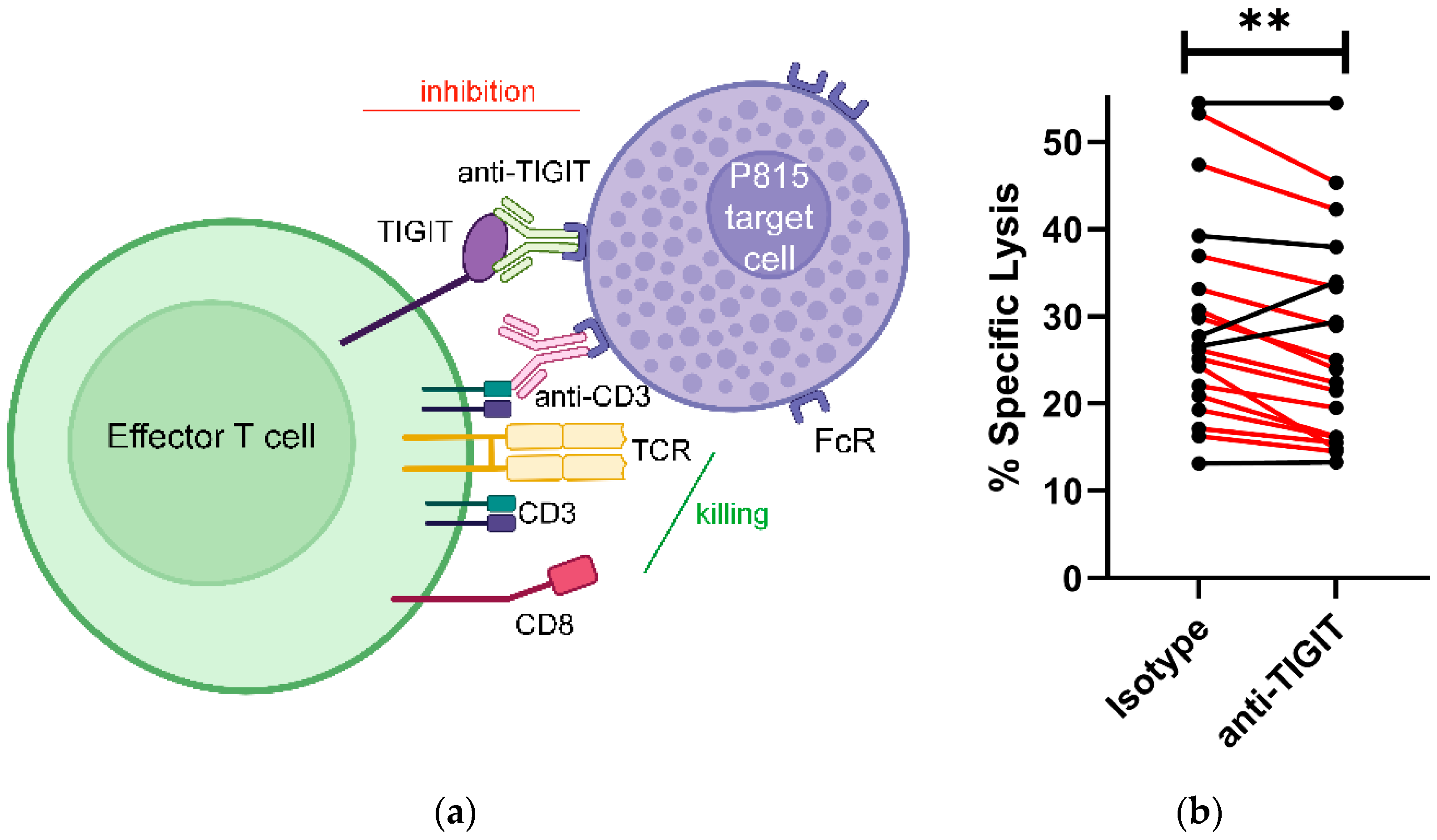 Pathogens 13 01137 g001