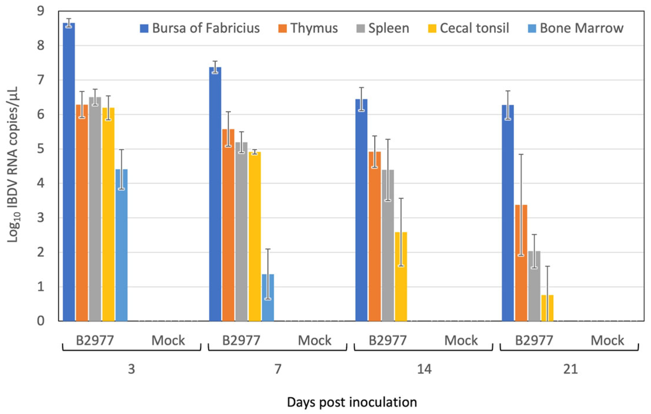 Pathogens 13 01141 g004