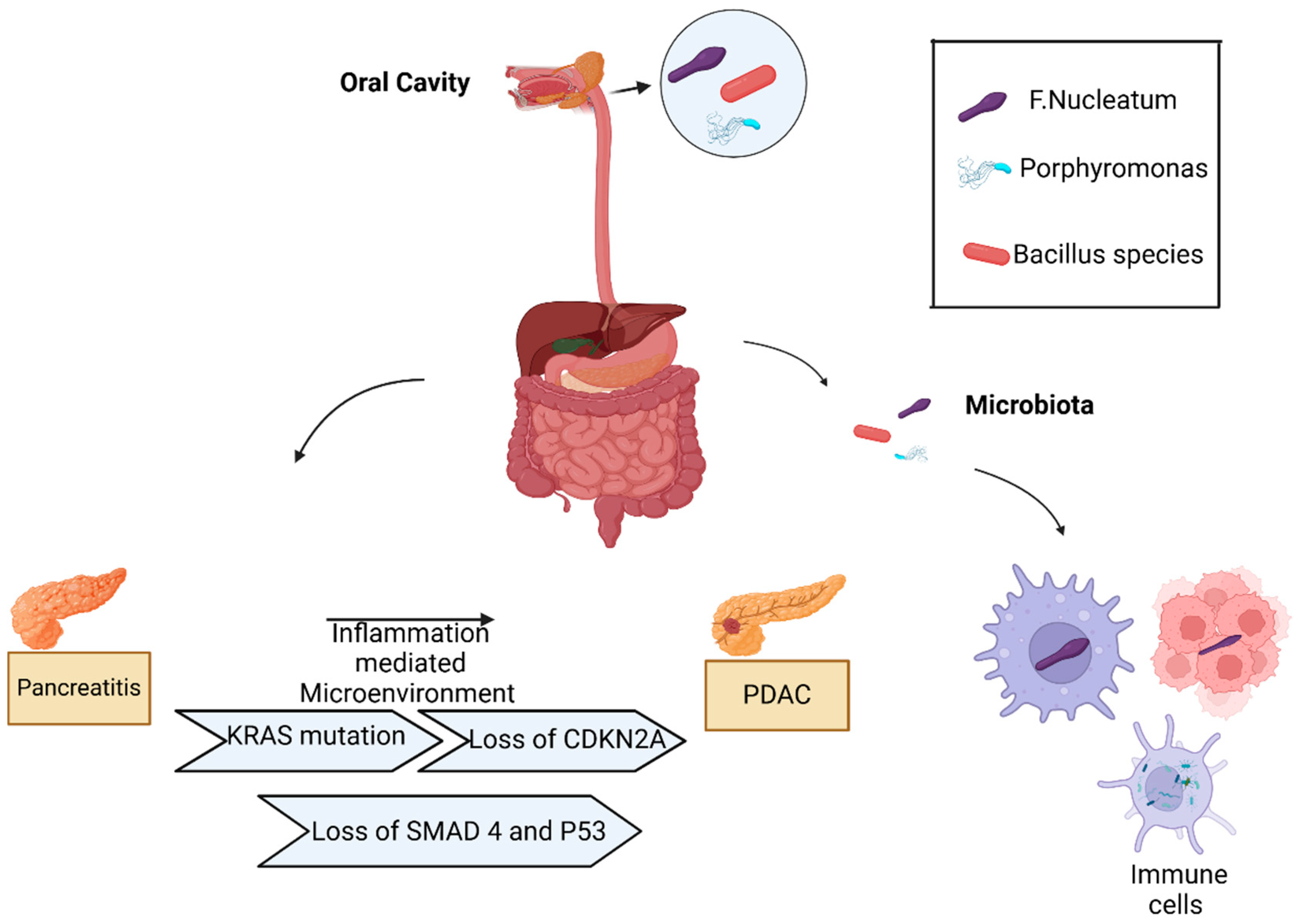 Pathogens 14 00002 g001
