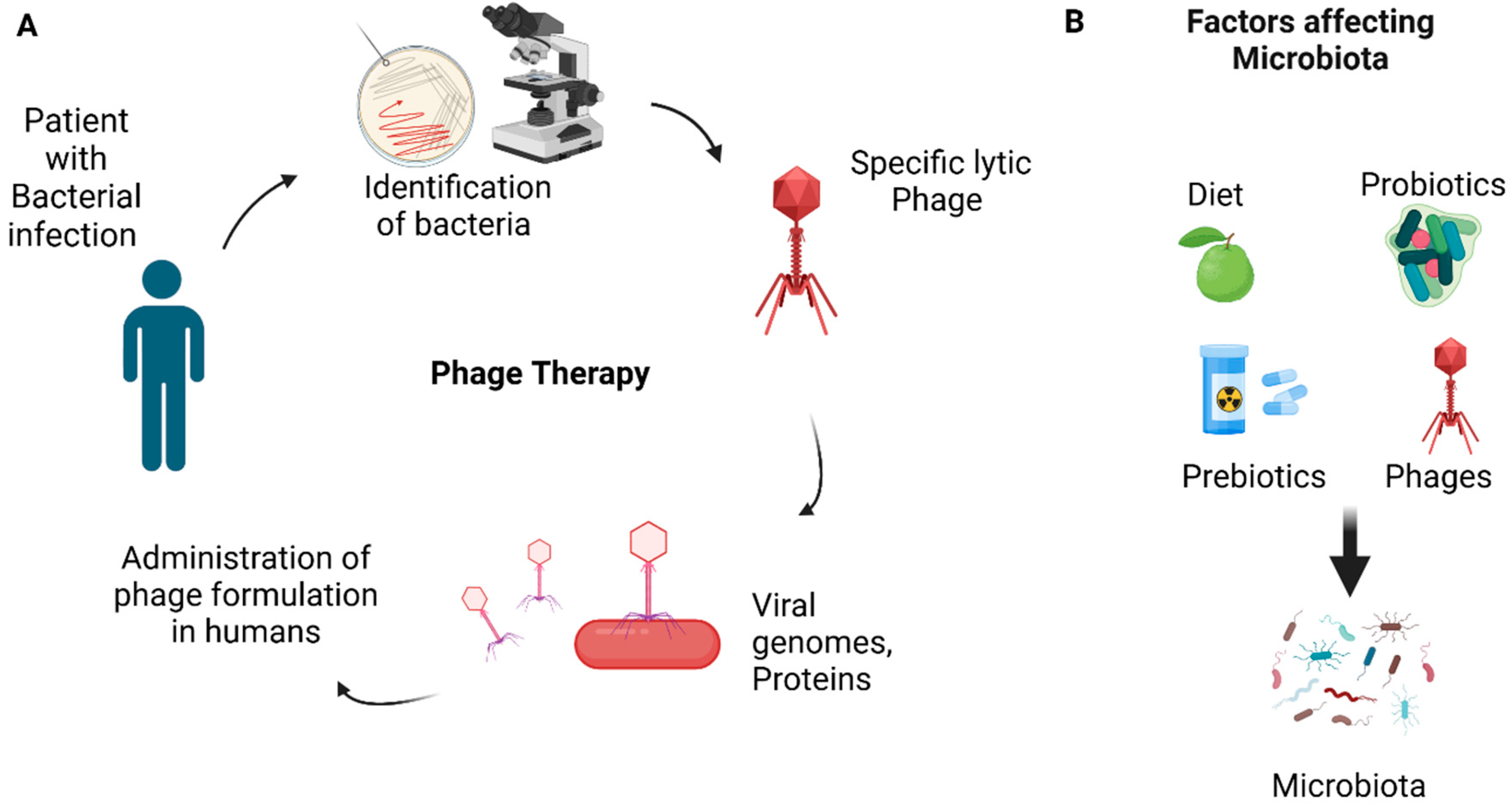 Pathogens 14 00002 g003