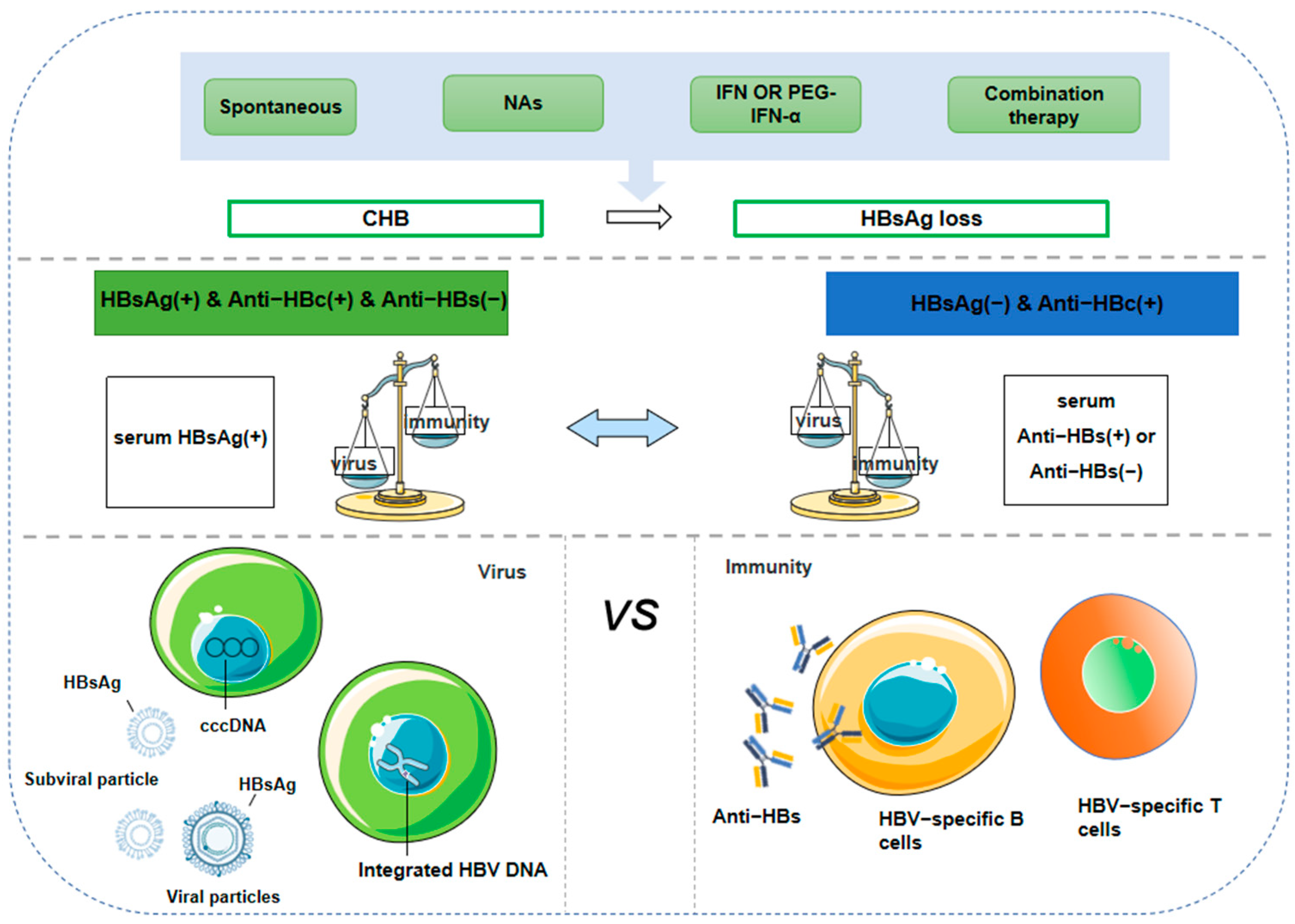 Pathogens 14 00008 g001