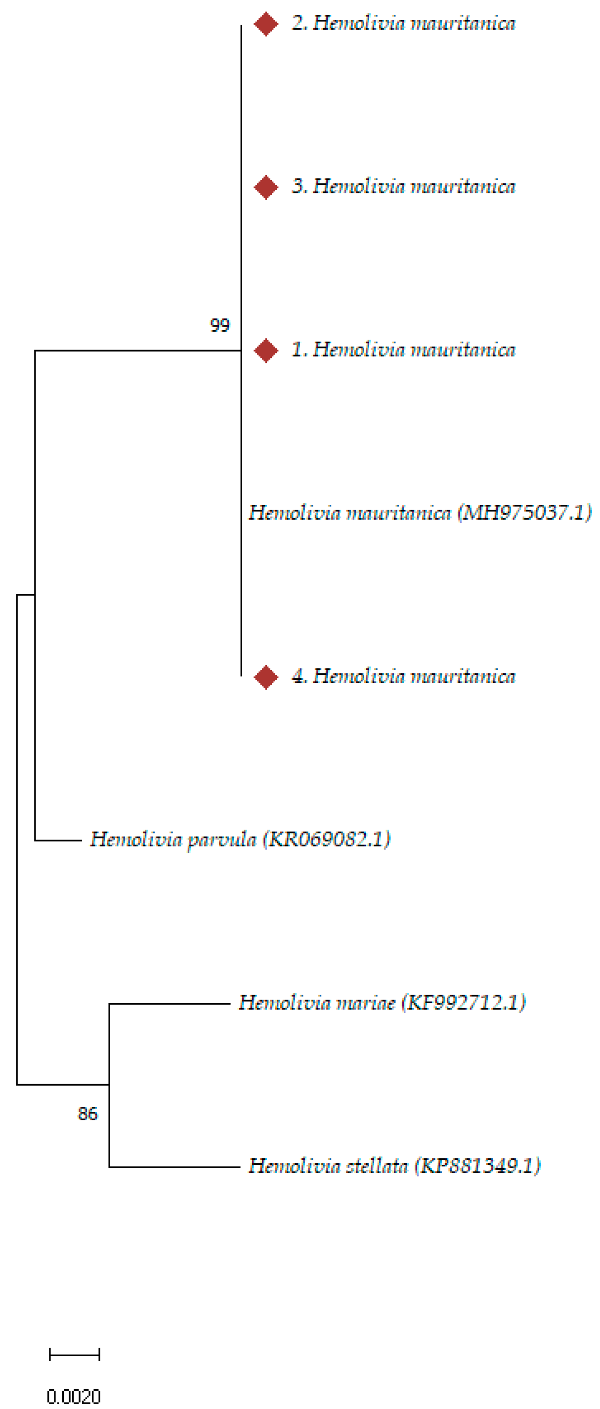 Pathogens 14 00009 g003