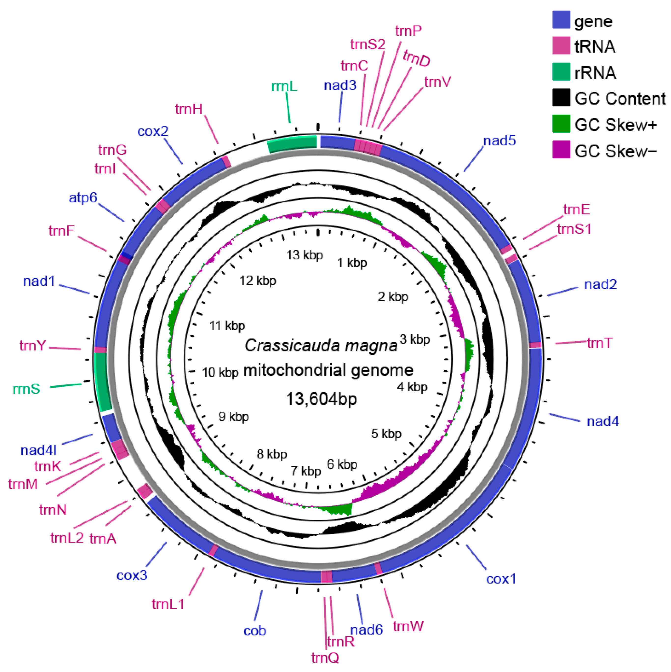 Pathogens 14 00018 g001