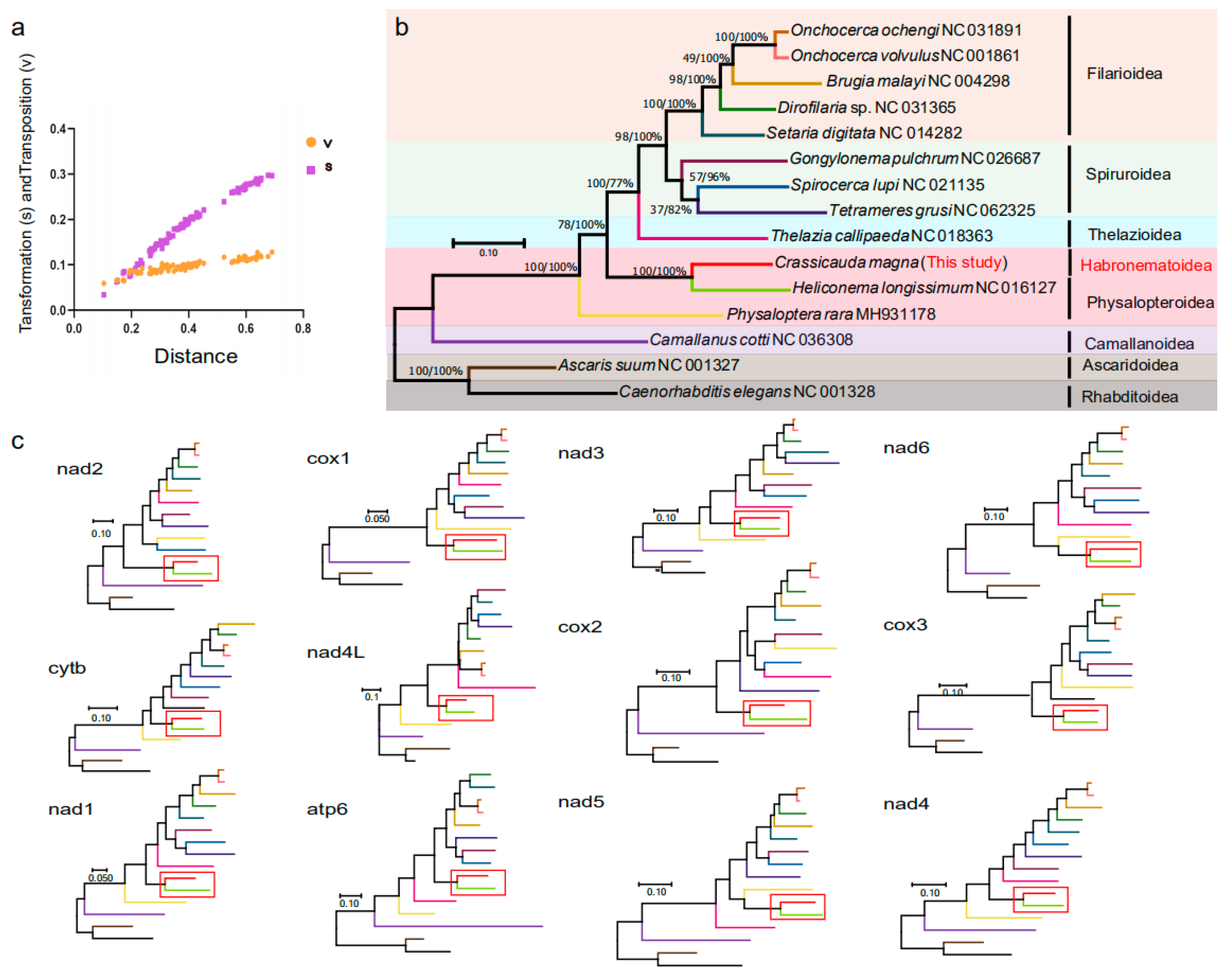 Pathogens 14 00018 g004