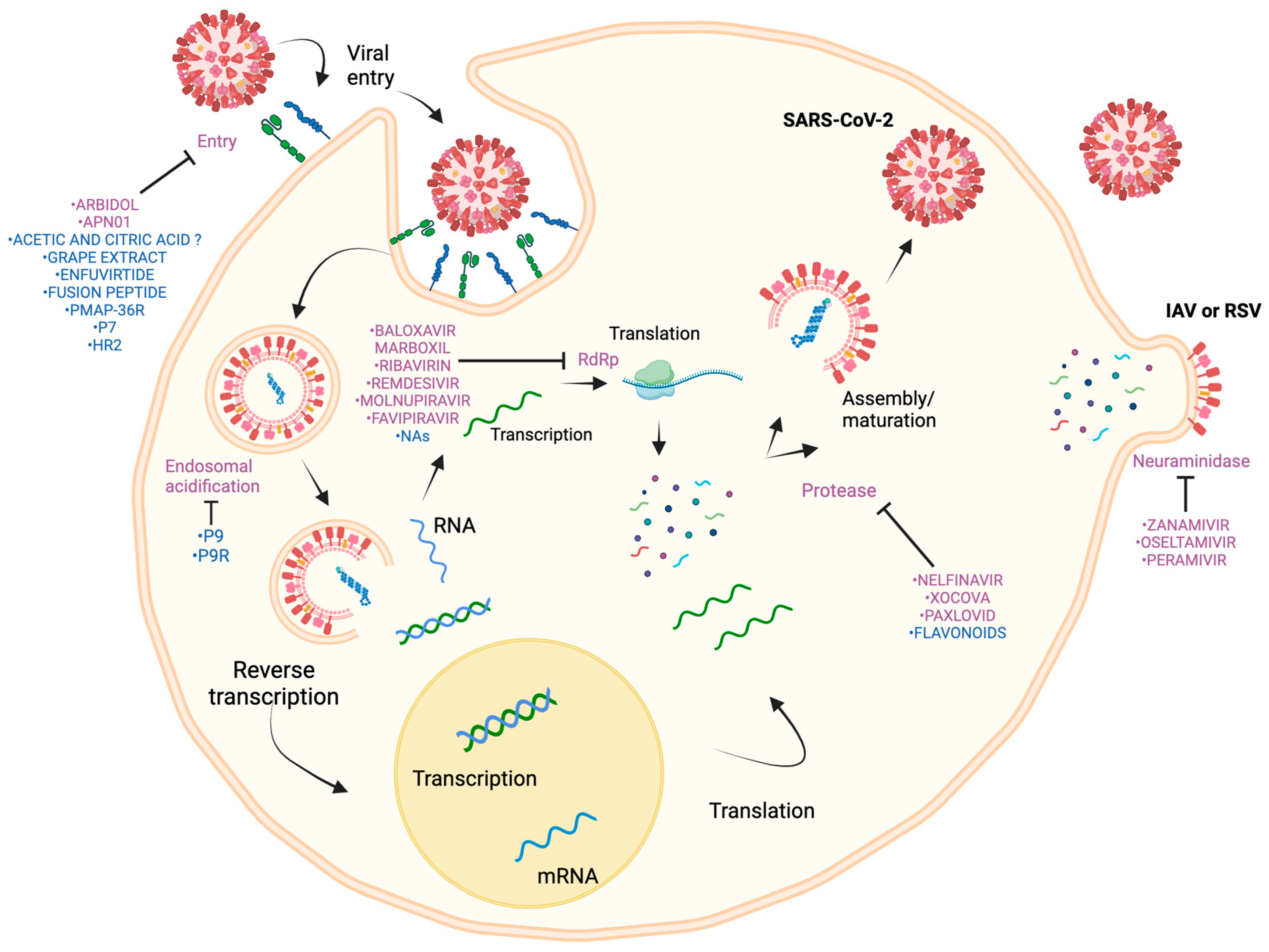 Pathogens 14 00020 g002