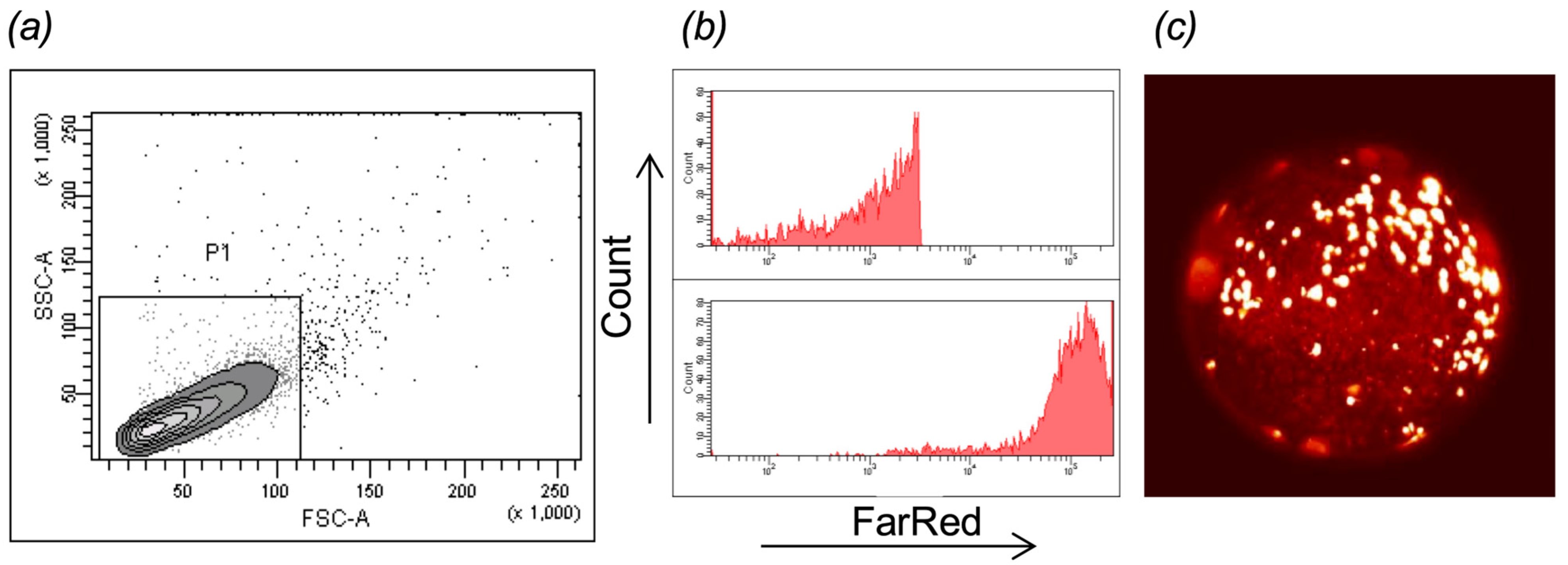 Pathogens 14 00025 g001