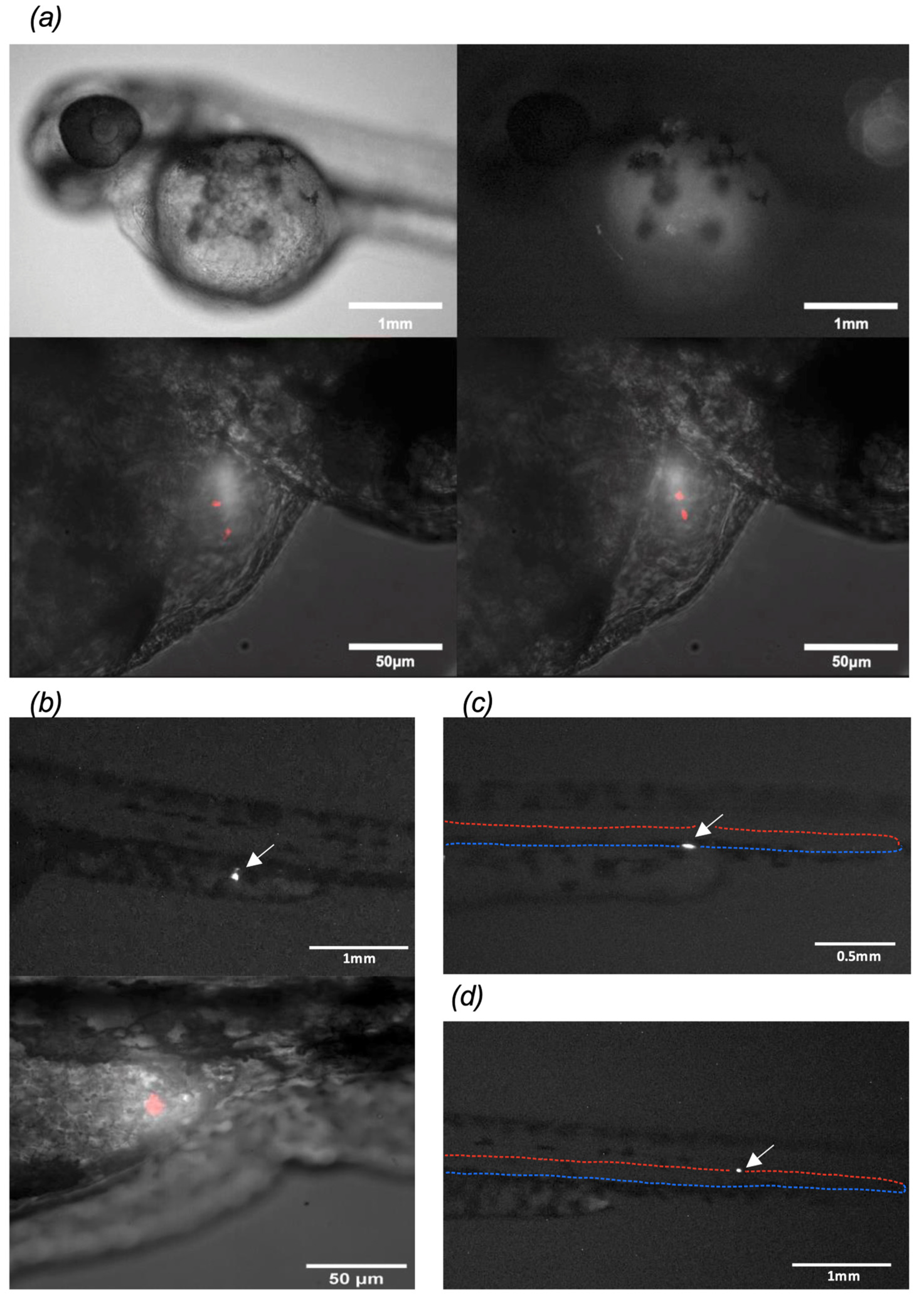 Pathogens 14 00025 g002