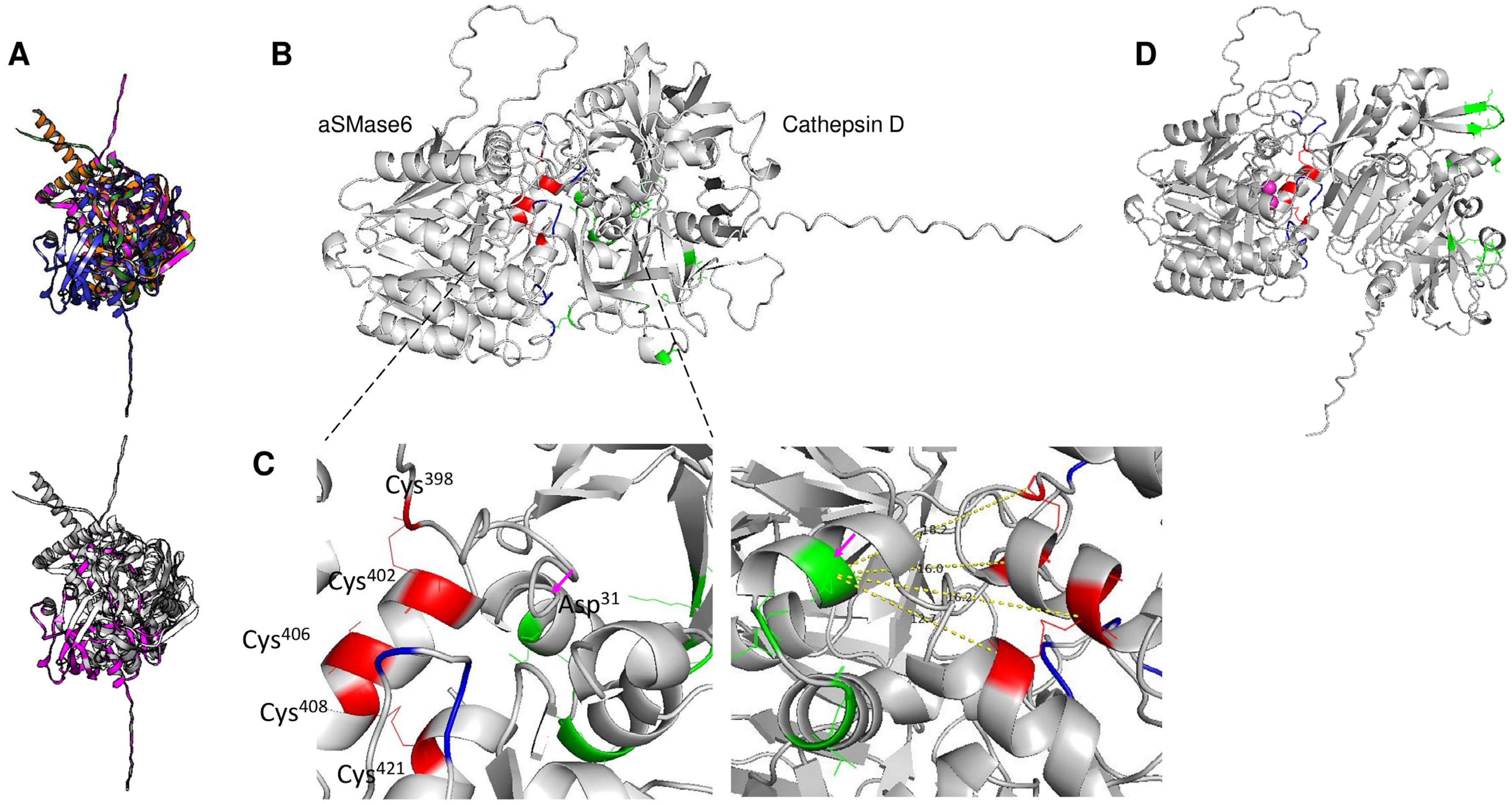 Pathogens 14 00032 g002
