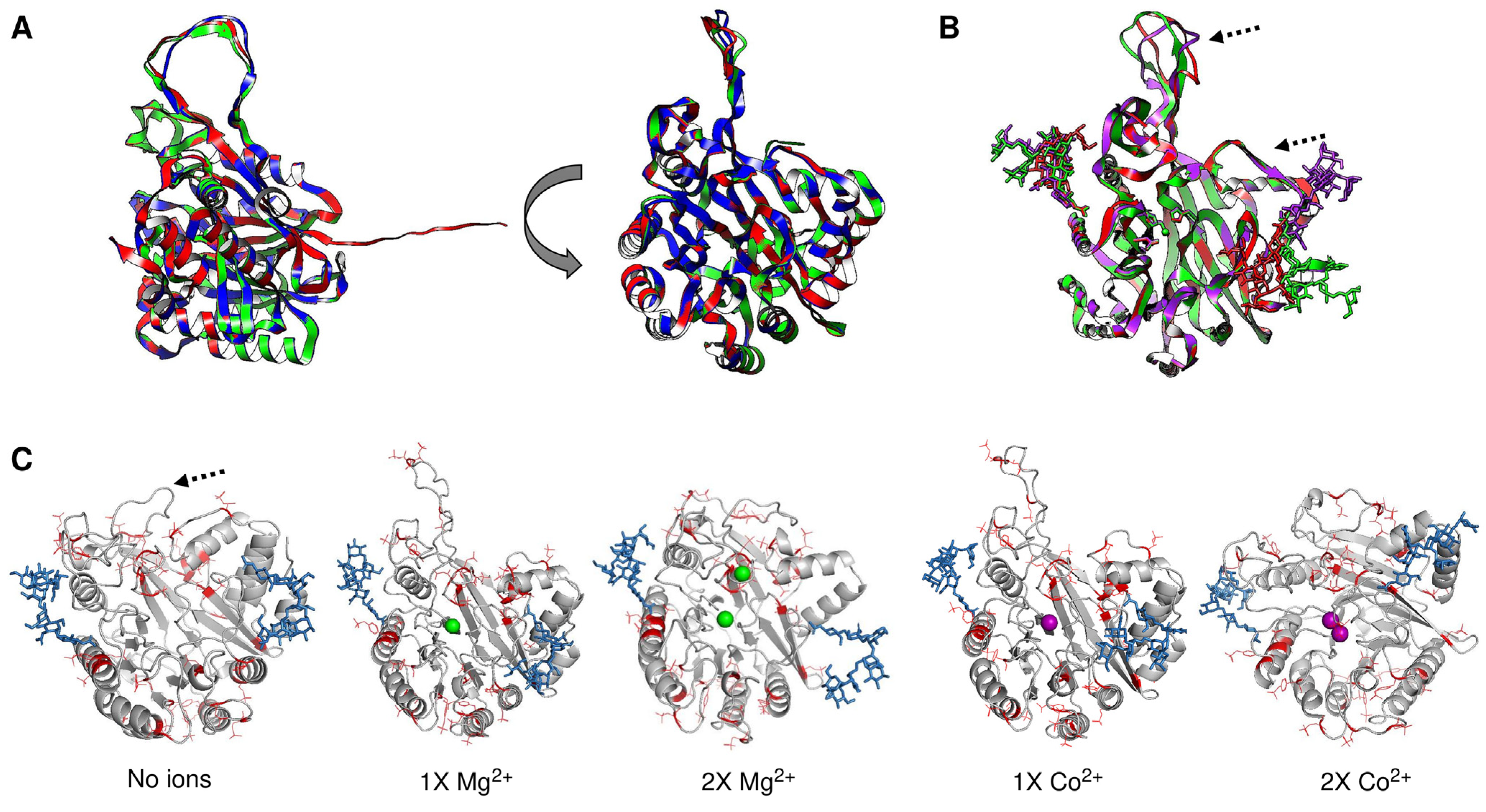 Pathogens 14 00032 g004