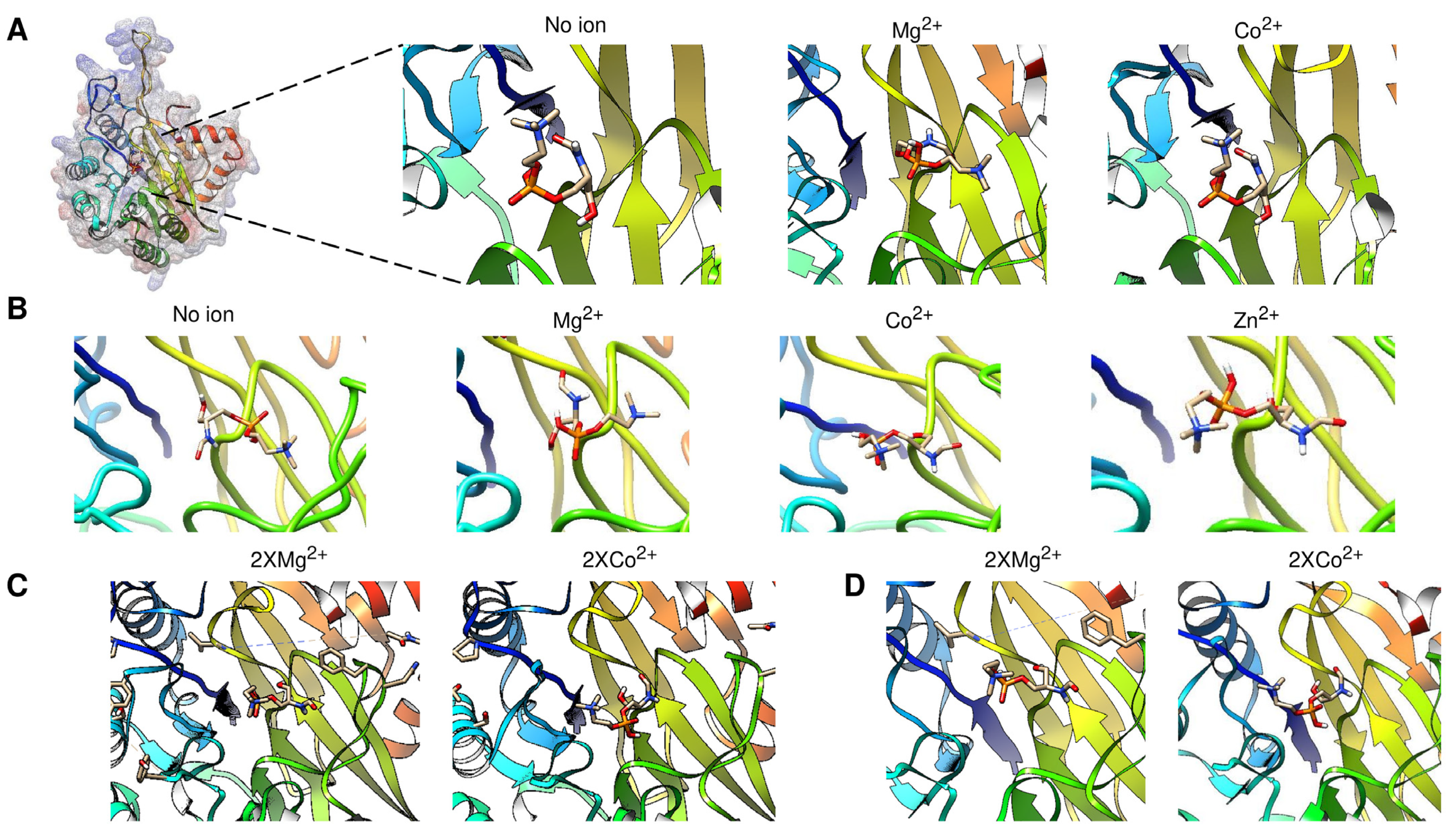 Pathogens 14 00032 g005