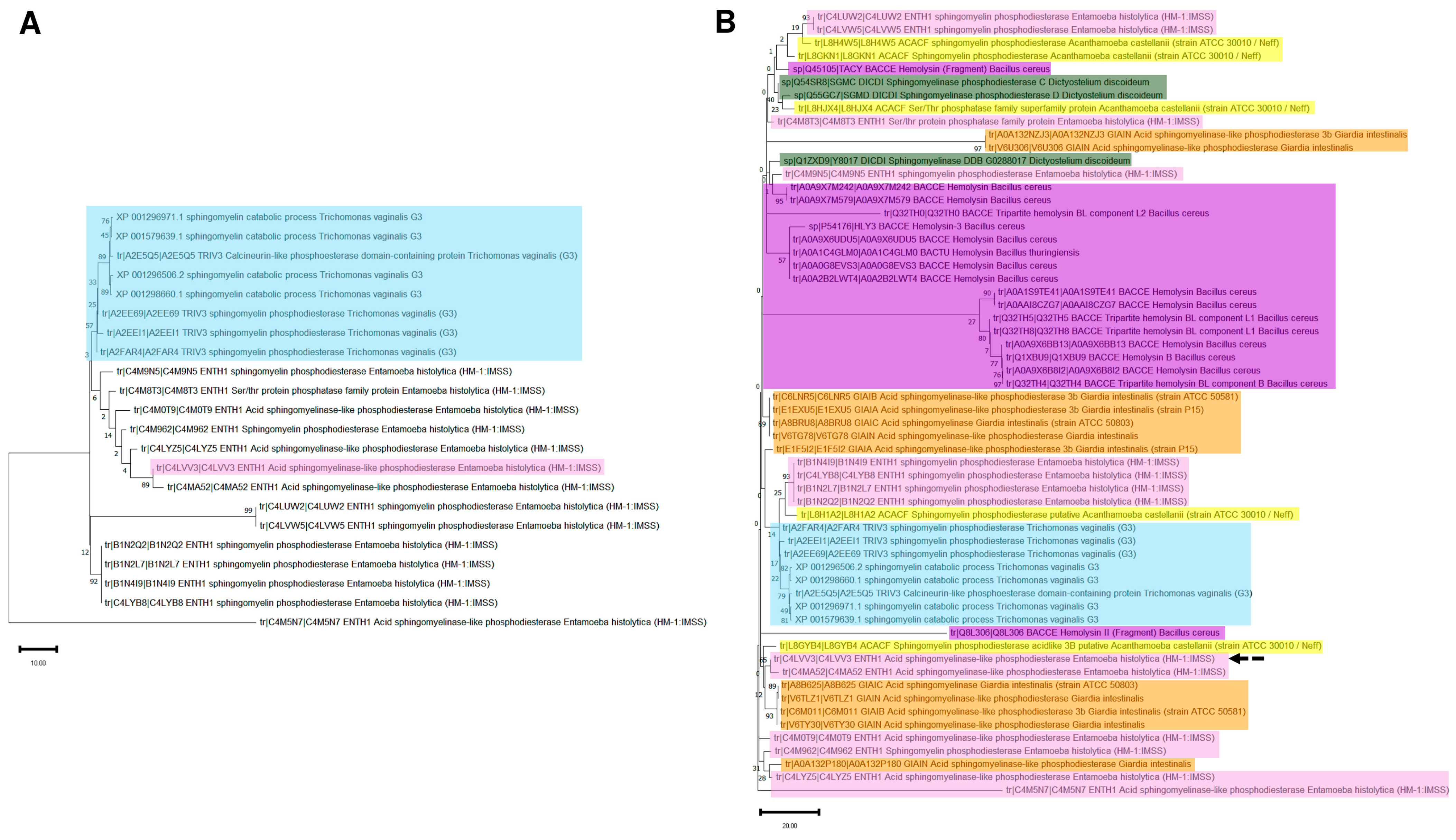Pathogens 14 00032 g006