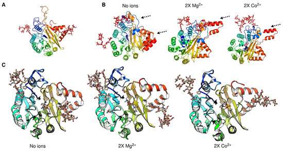 a LC135 COVER ENGINE CRANKCASE ASSY