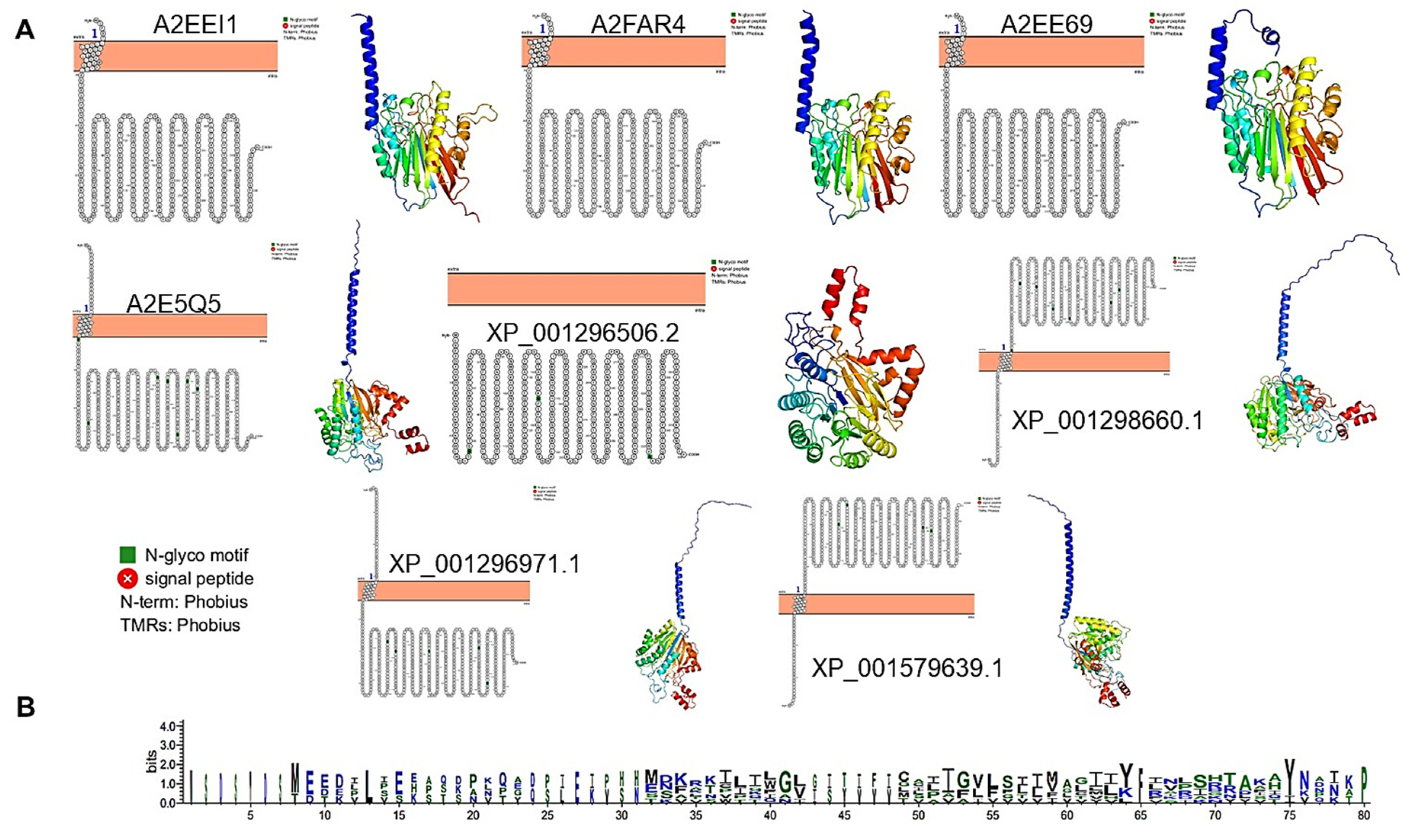 Pathogens 14 00032 g009